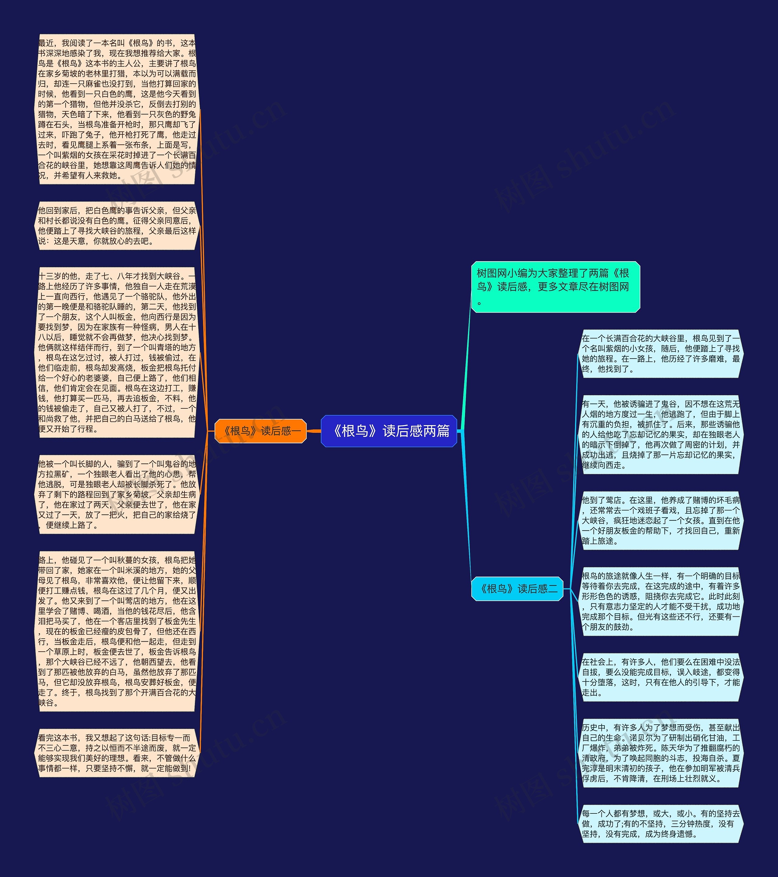 《根鸟》读后感两篇思维导图