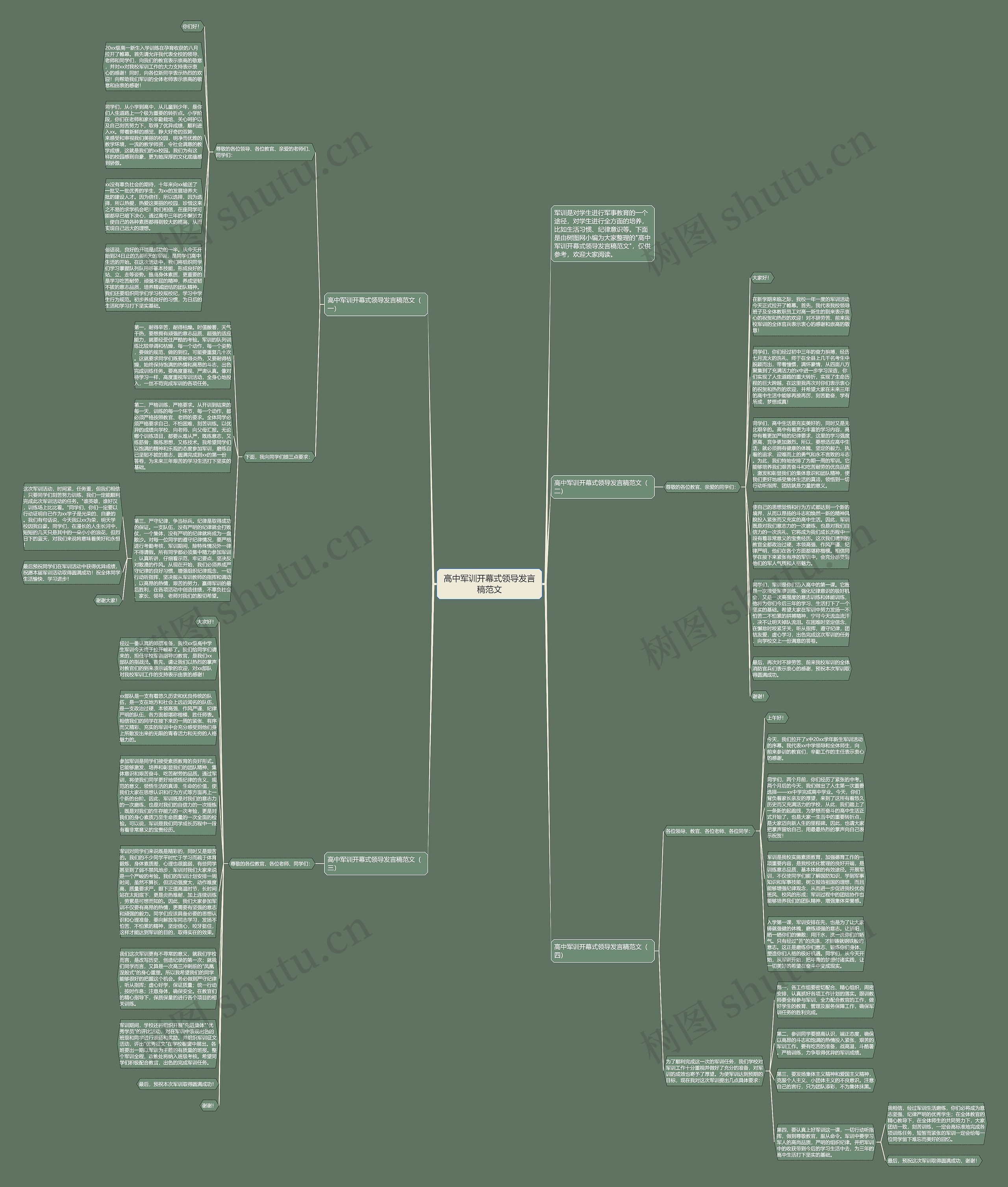 高中军训开幕式领导发言稿范文思维导图