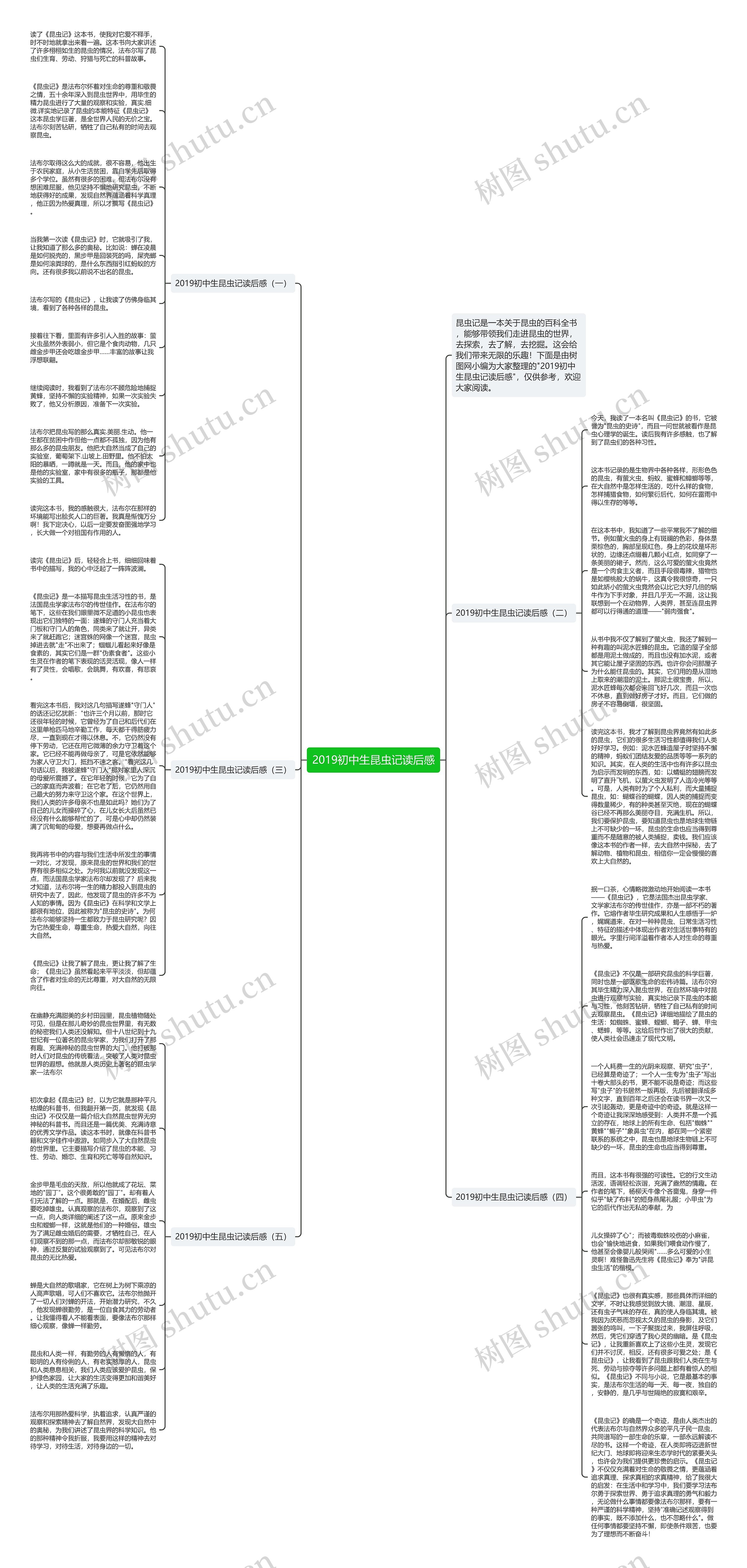 2019初中生昆虫记读后感思维导图
