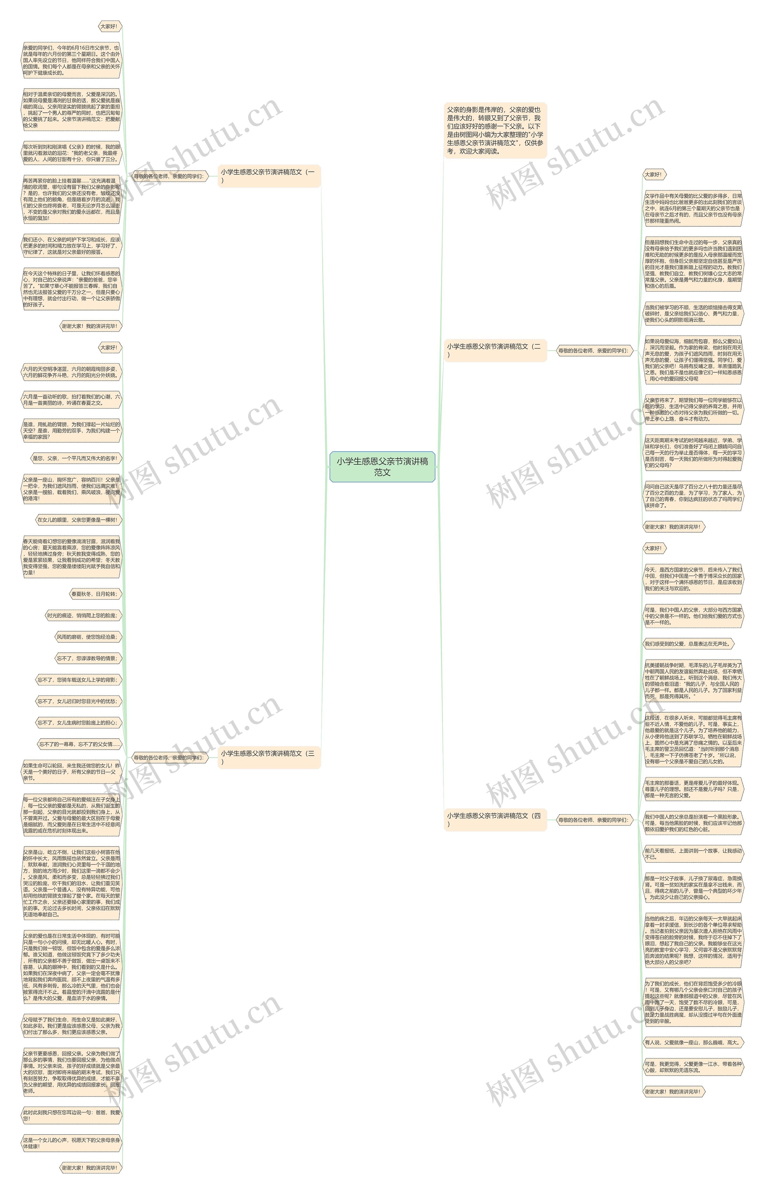 小学生感恩父亲节演讲稿范文思维导图