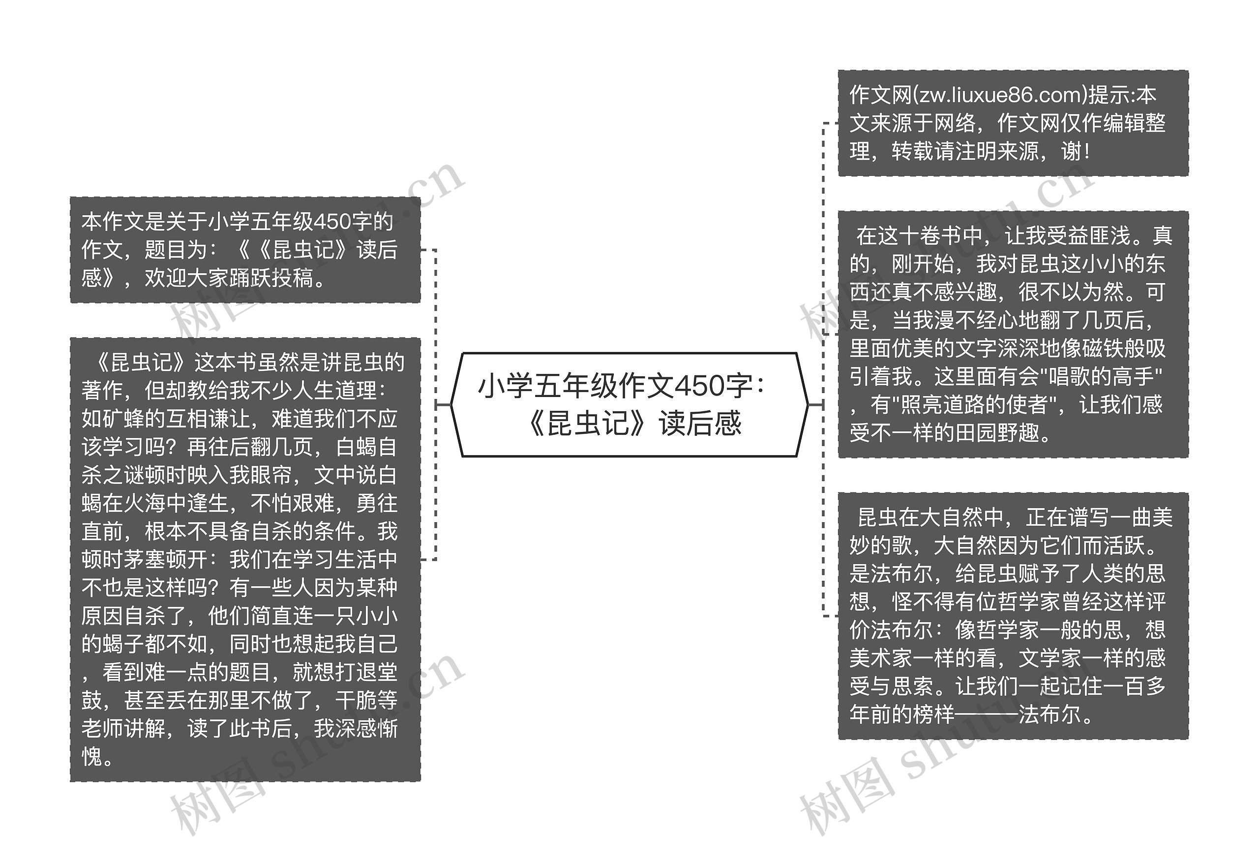 小学五年级作文450字：《昆虫记》读后感思维导图