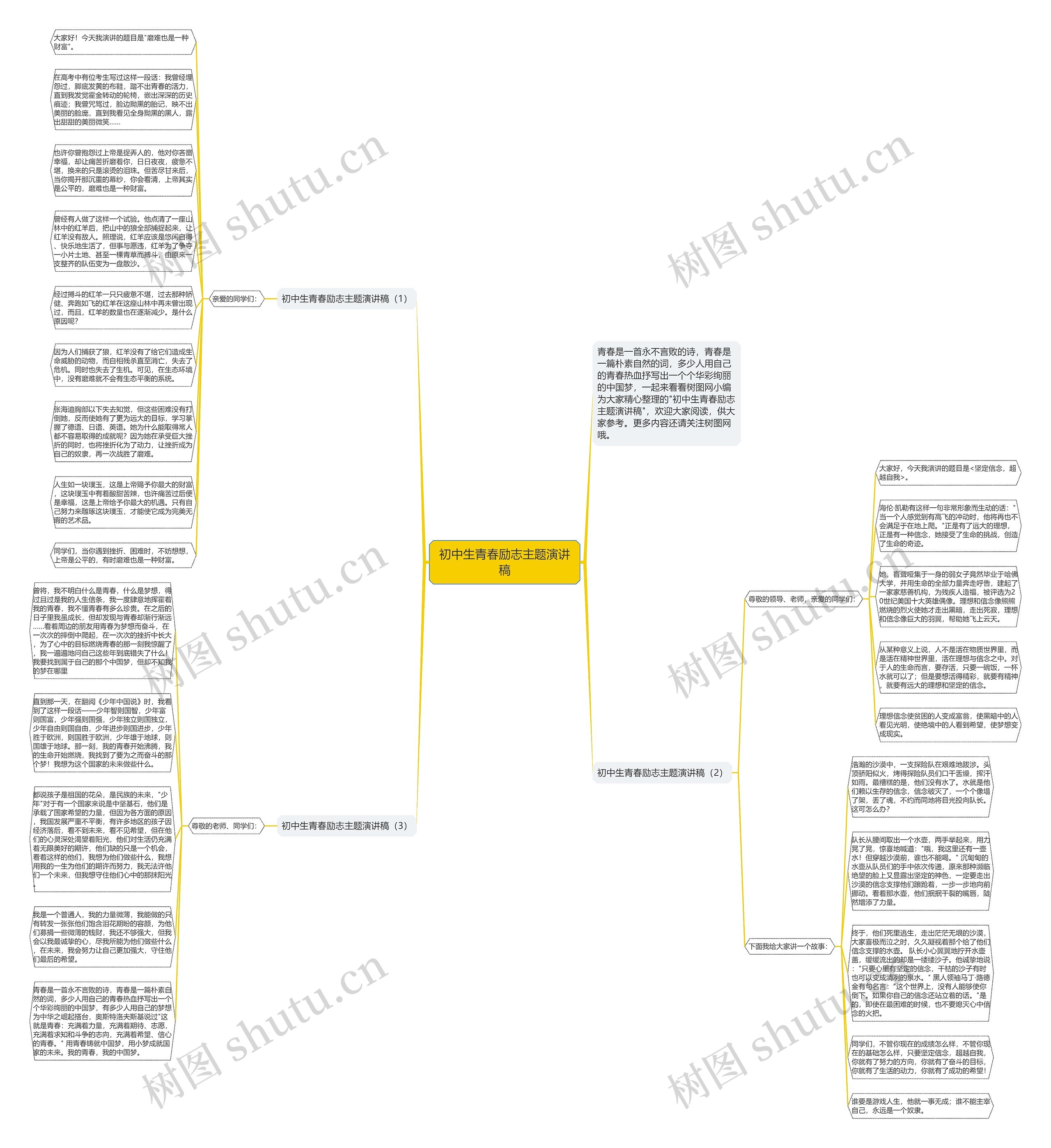 初中生青春励志主题演讲稿思维导图