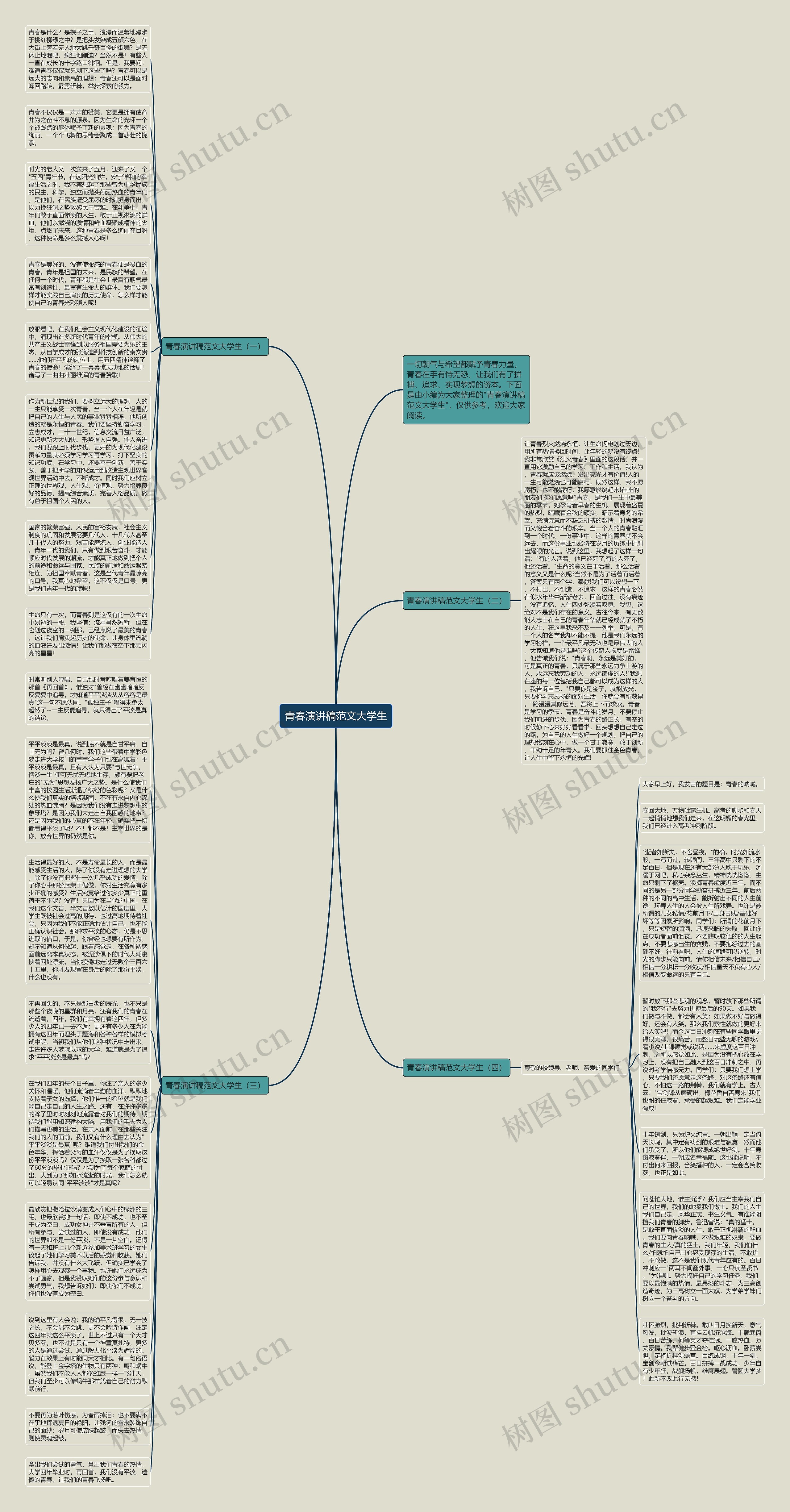 青春演讲稿范文大学生思维导图