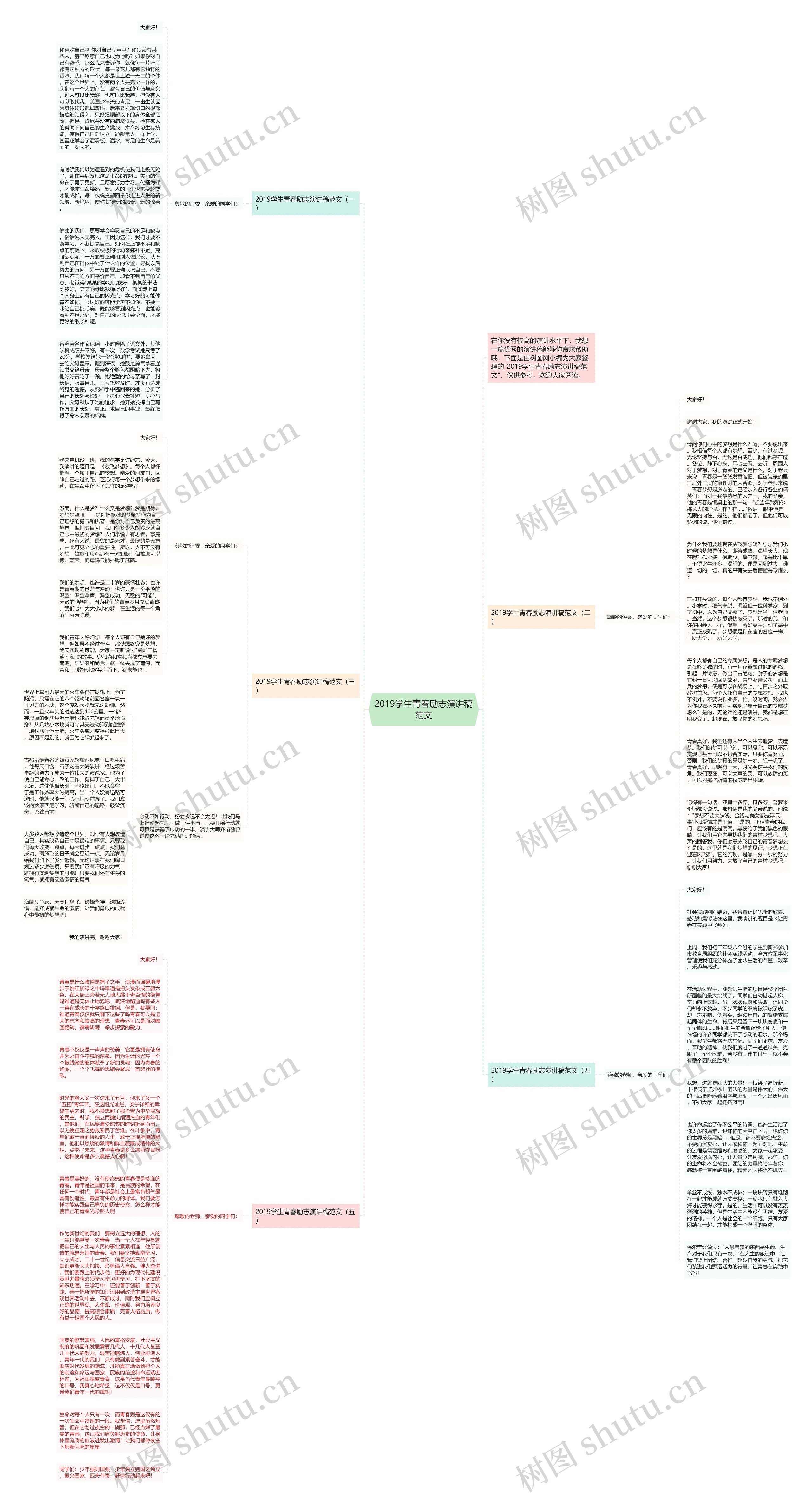 2019学生青春励志演讲稿范文思维导图