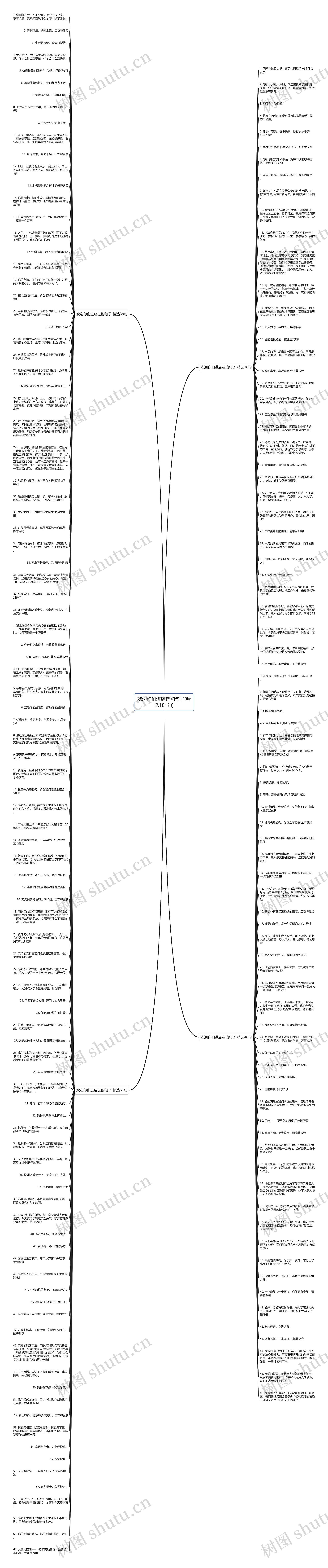 欢迎你们进店选购句子(精选181句)思维导图