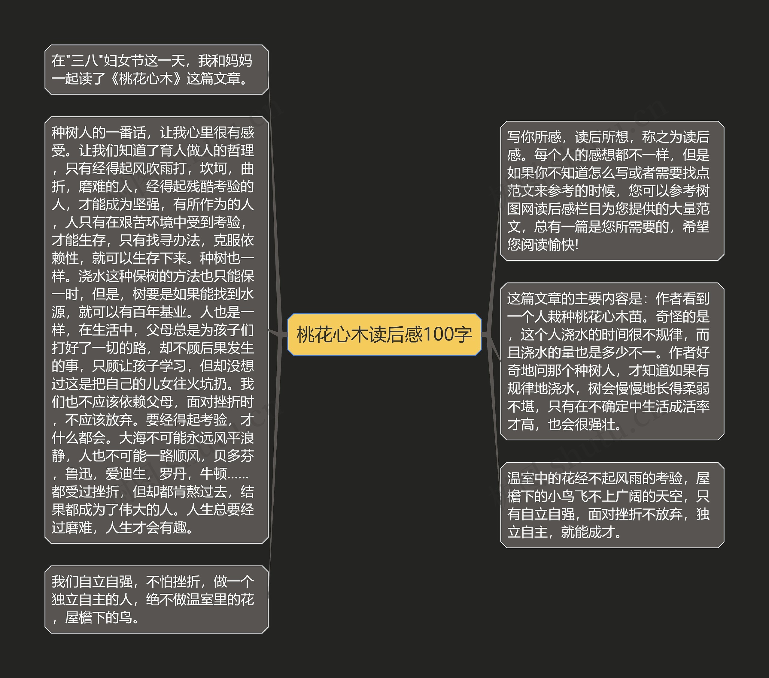 桃花心木读后感100字思维导图