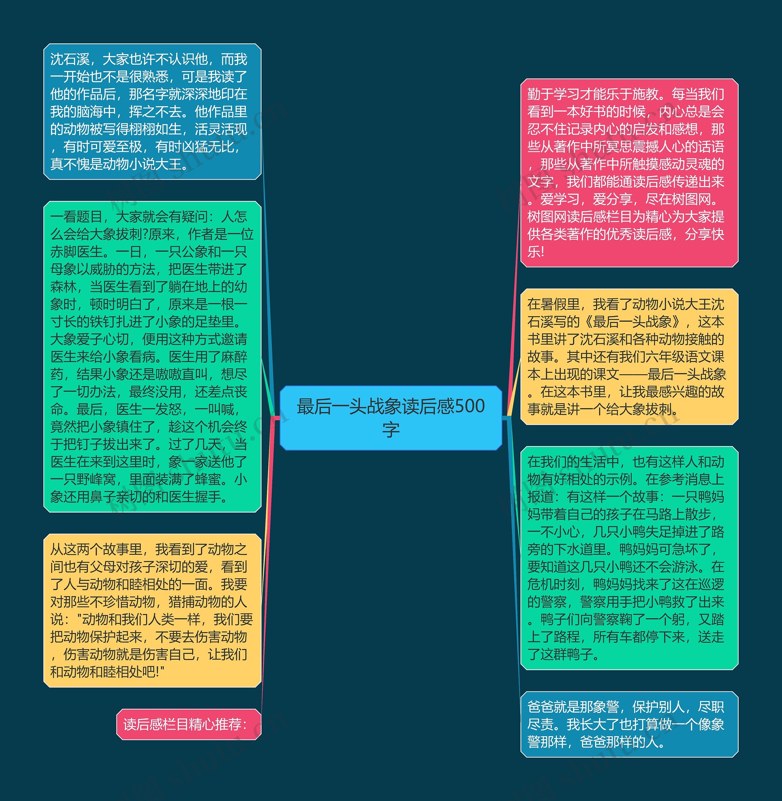 最后一头战象读后感500字思维导图