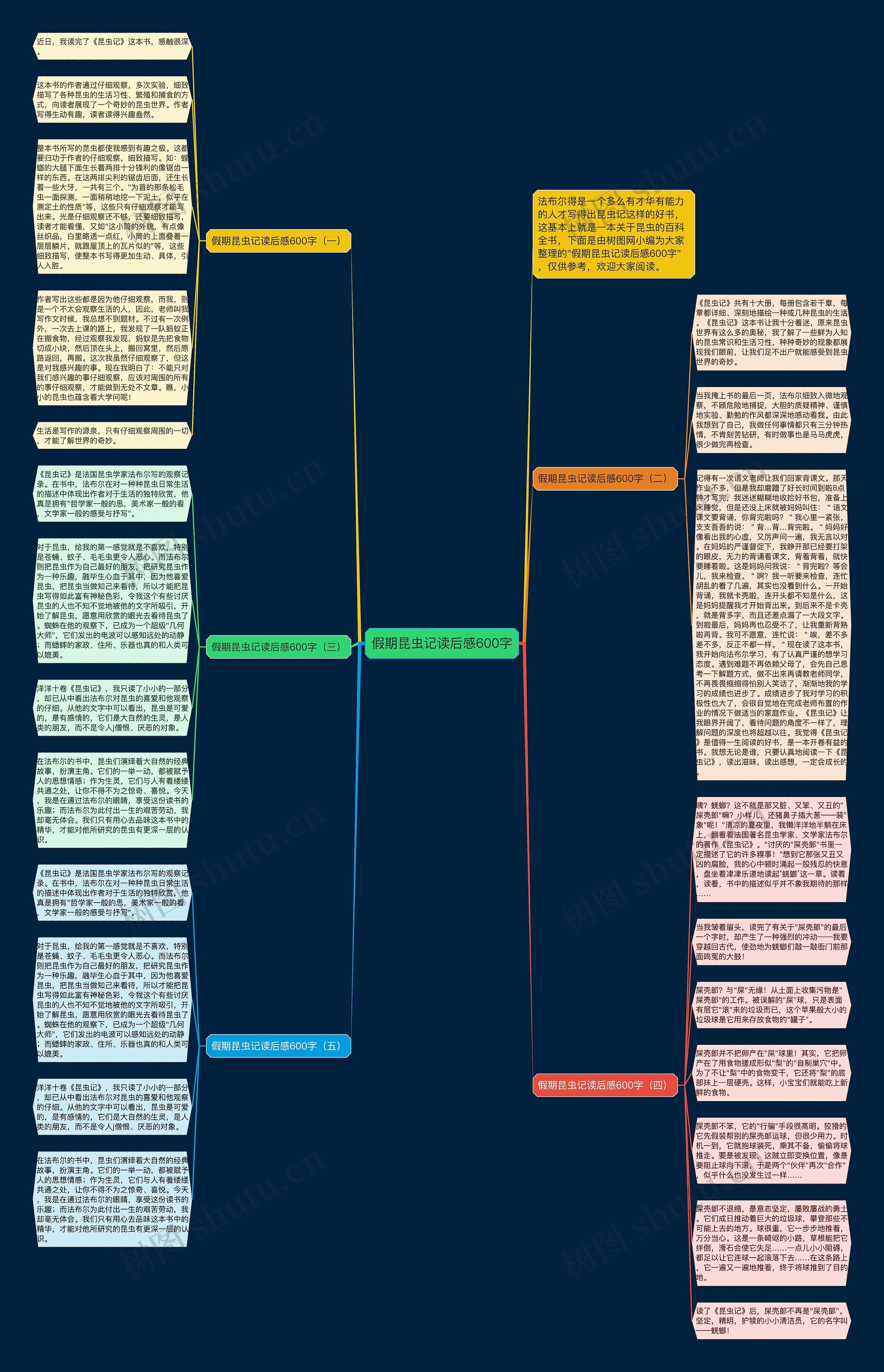 假期昆虫记读后感600字思维导图