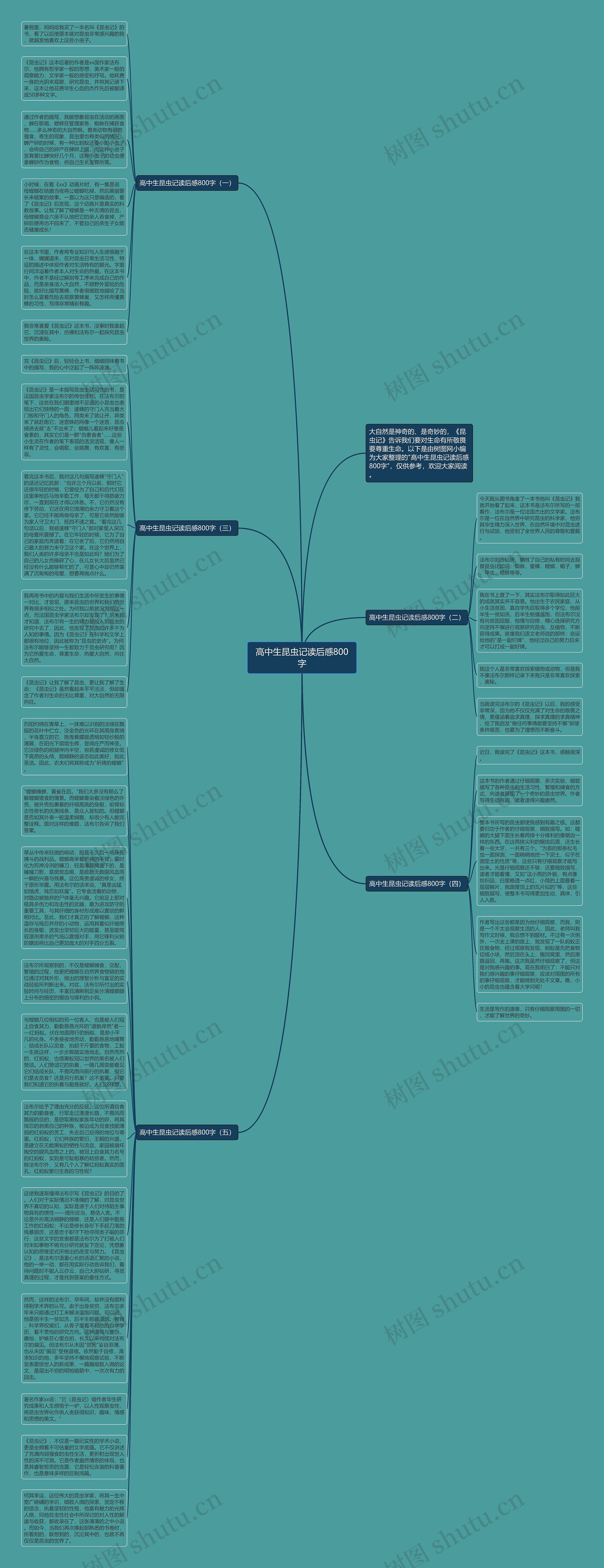 高中生昆虫记读后感800字思维导图