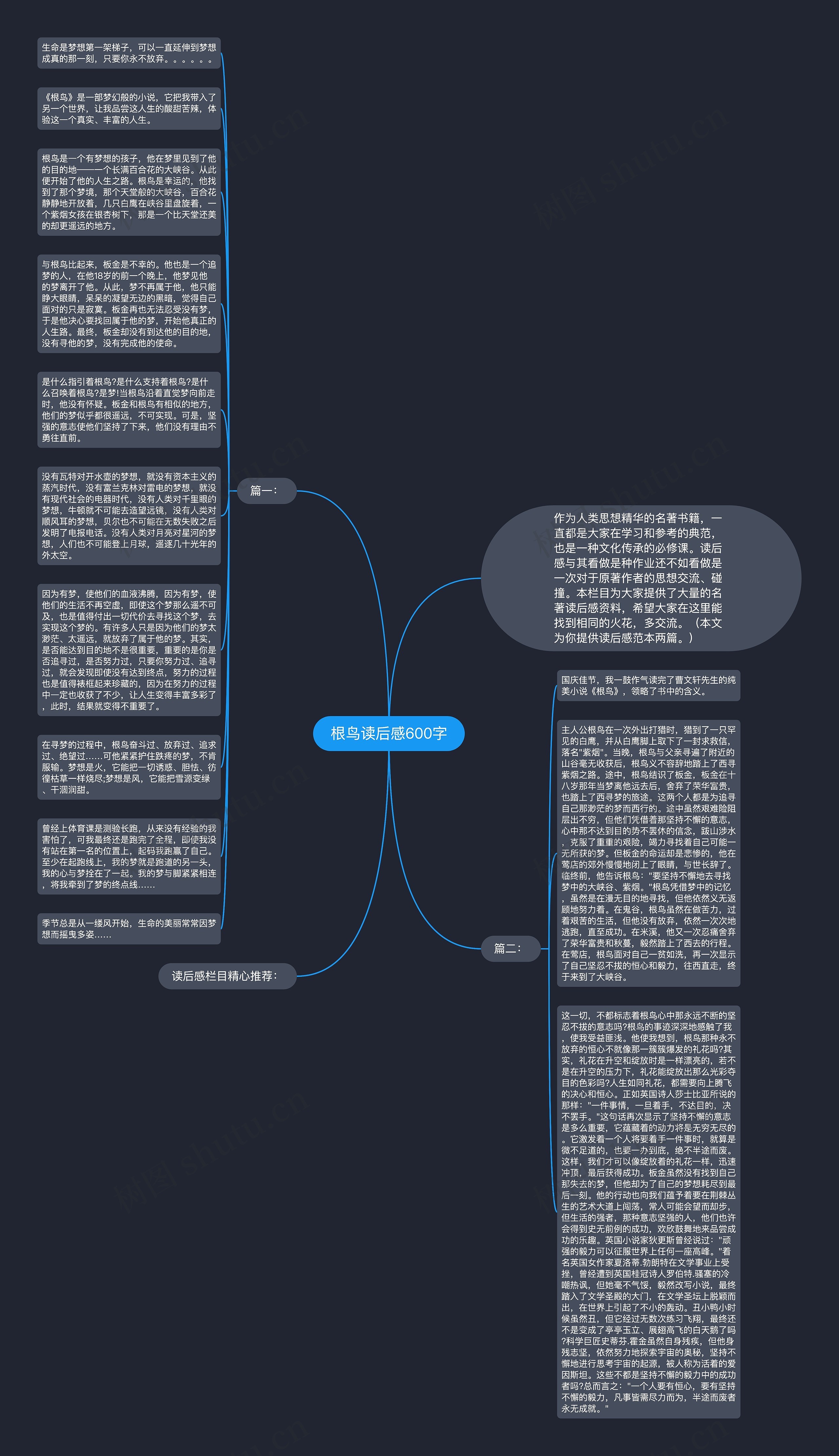 根鸟读后感600字思维导图