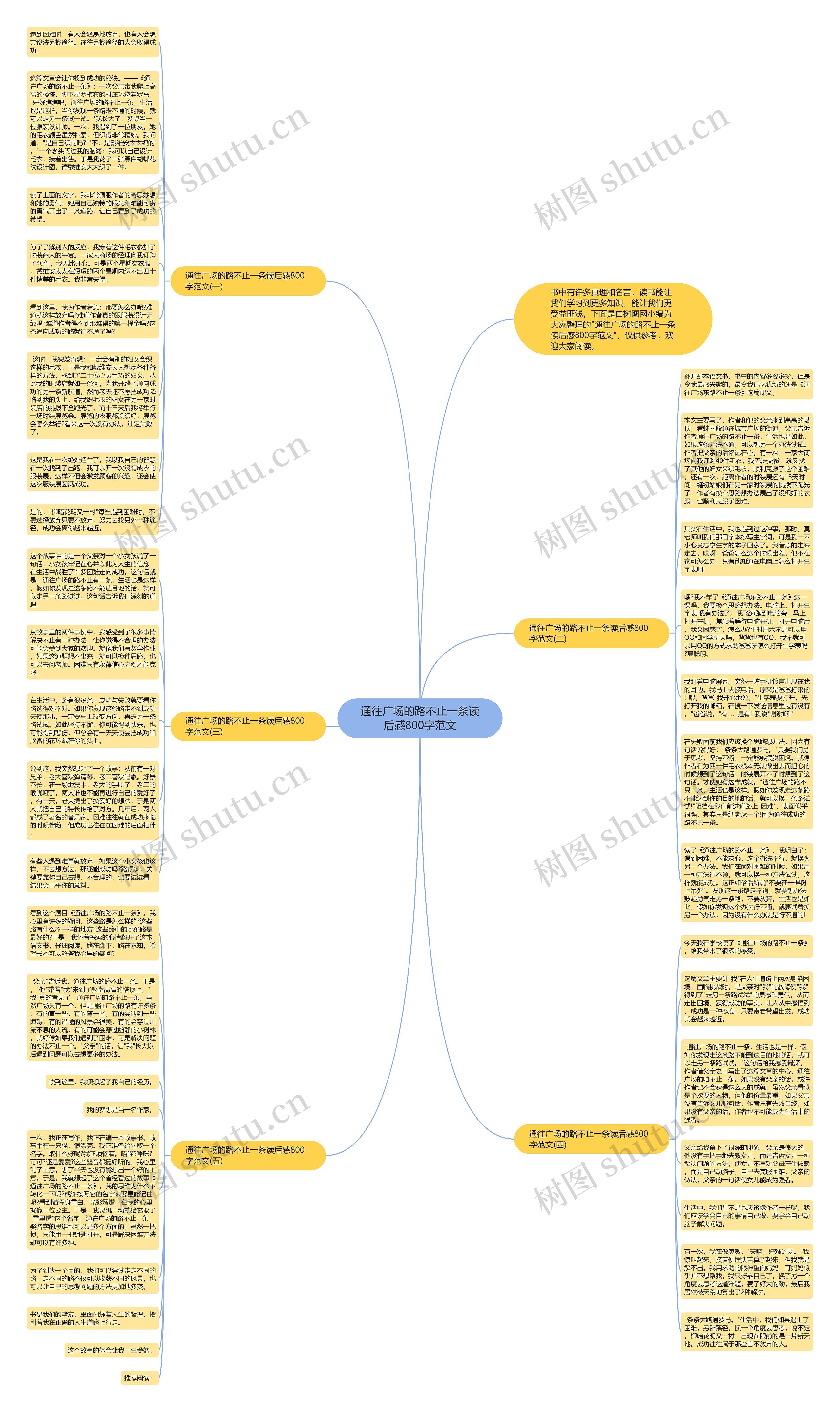 通往广场的路不止一条读后感800字范文思维导图