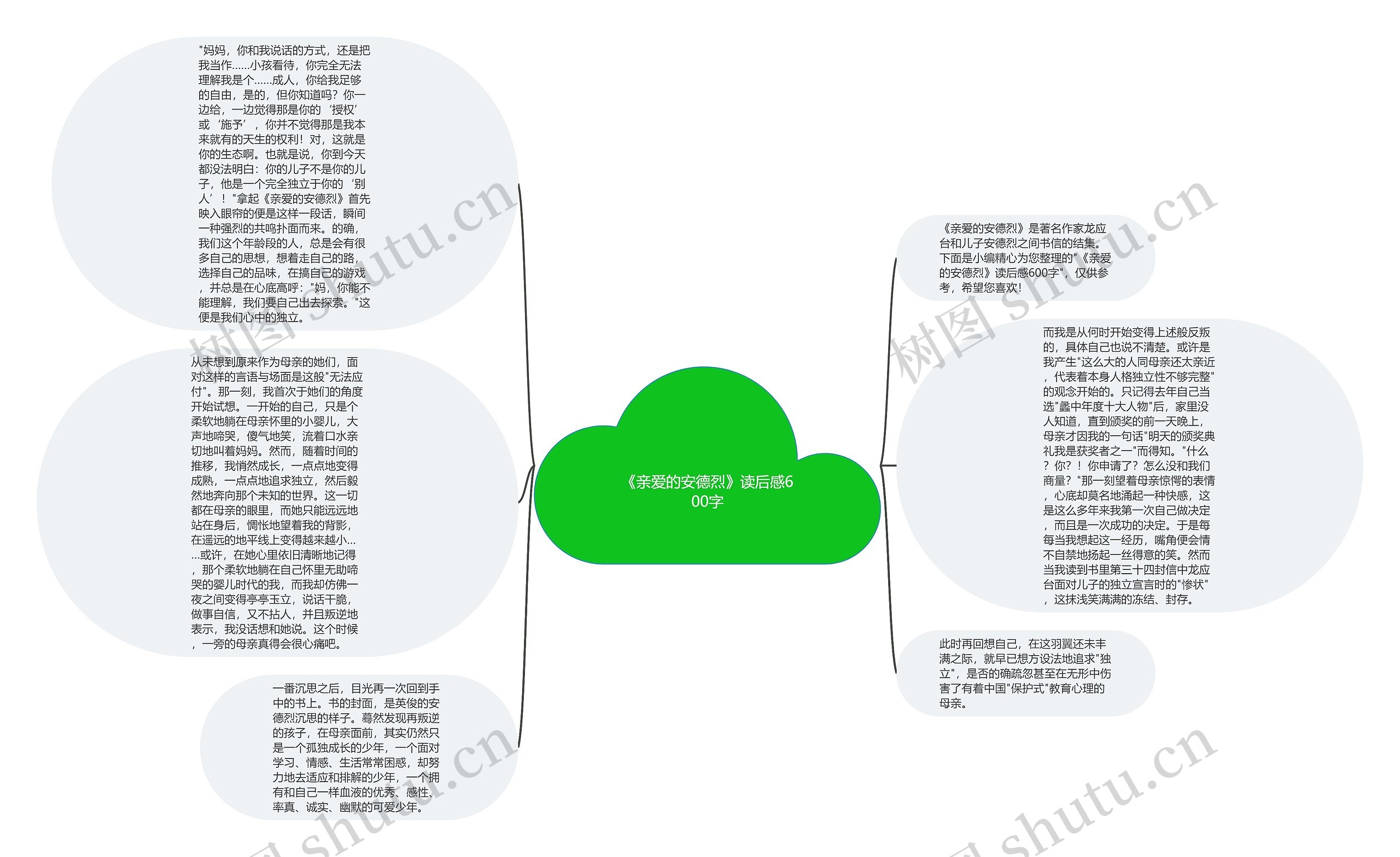 《亲爱的安德烈》读后感600字