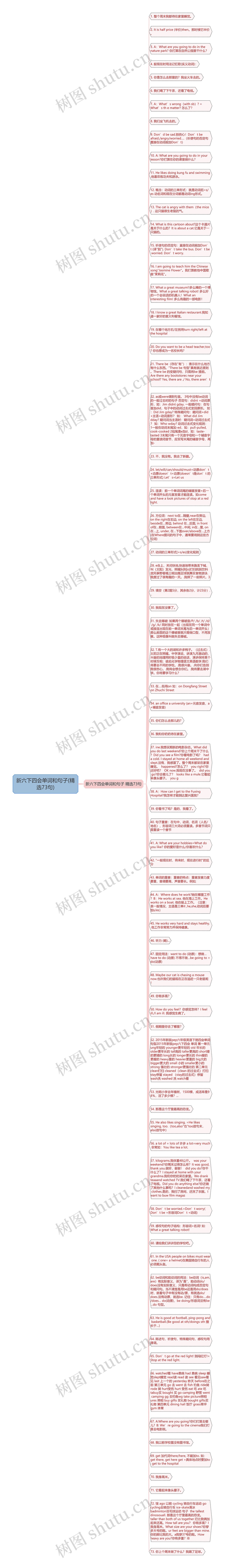 新六下四会单词和句子(精选73句)思维导图