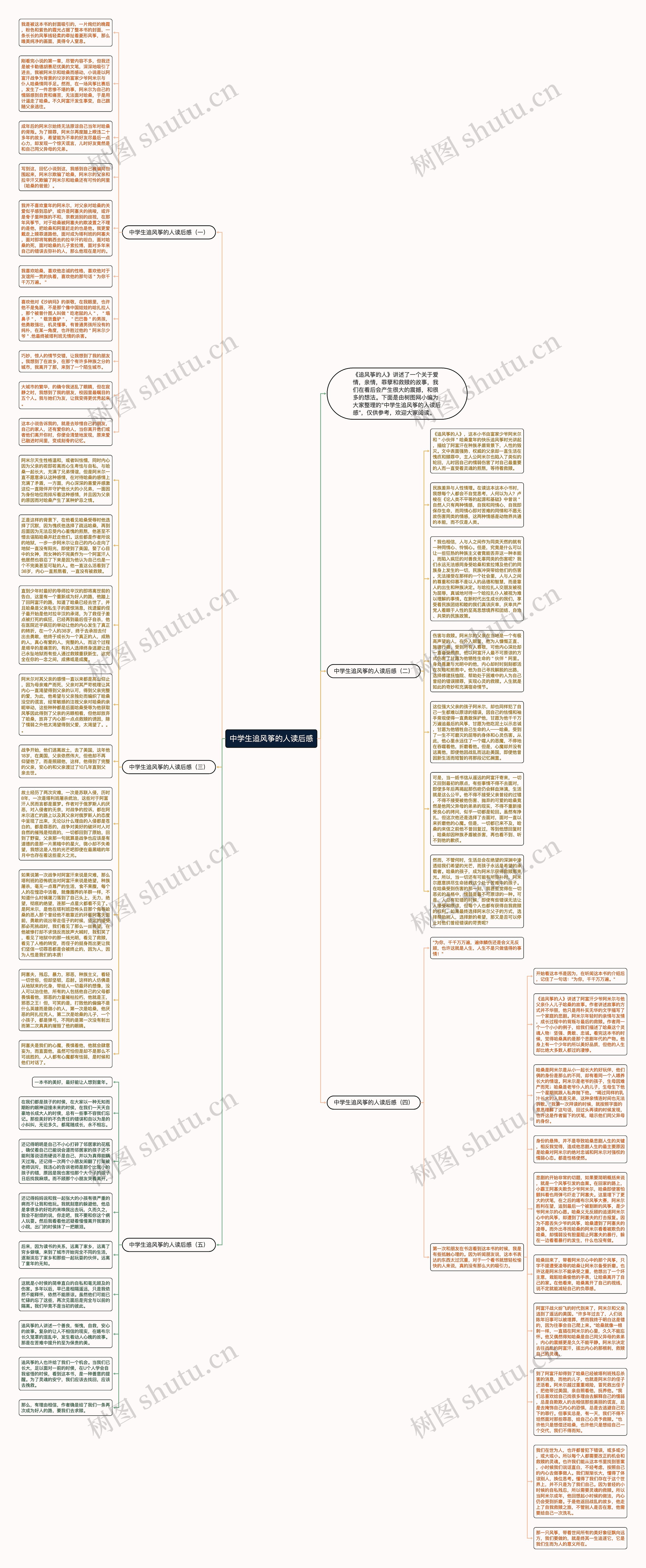 中学生追风筝的人读后感思维导图