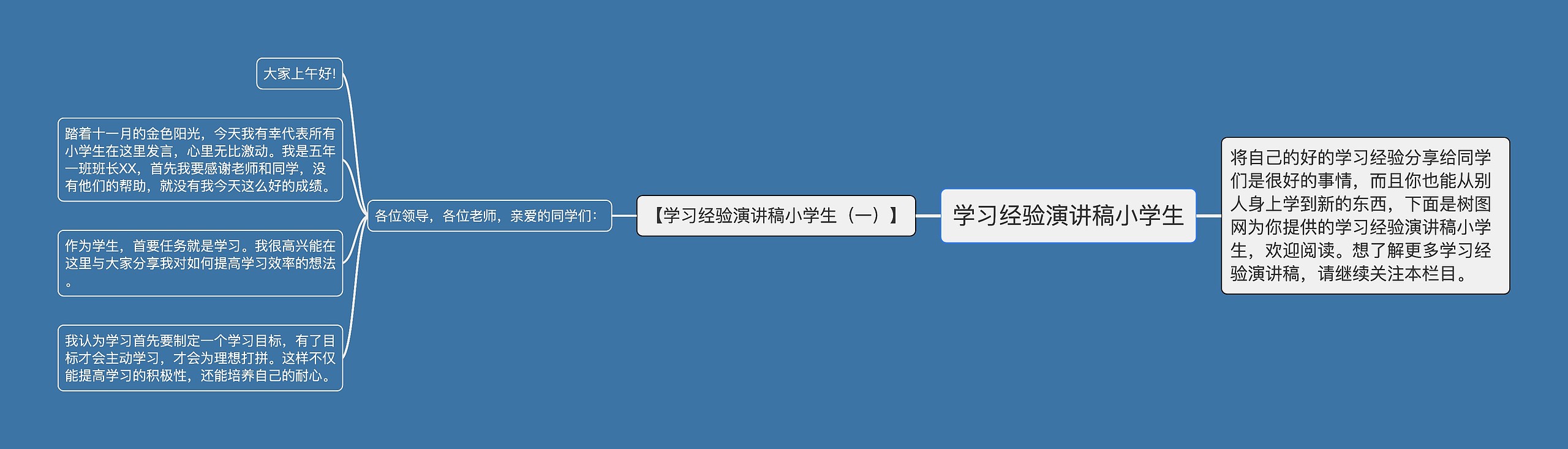 学习经验演讲稿小学生