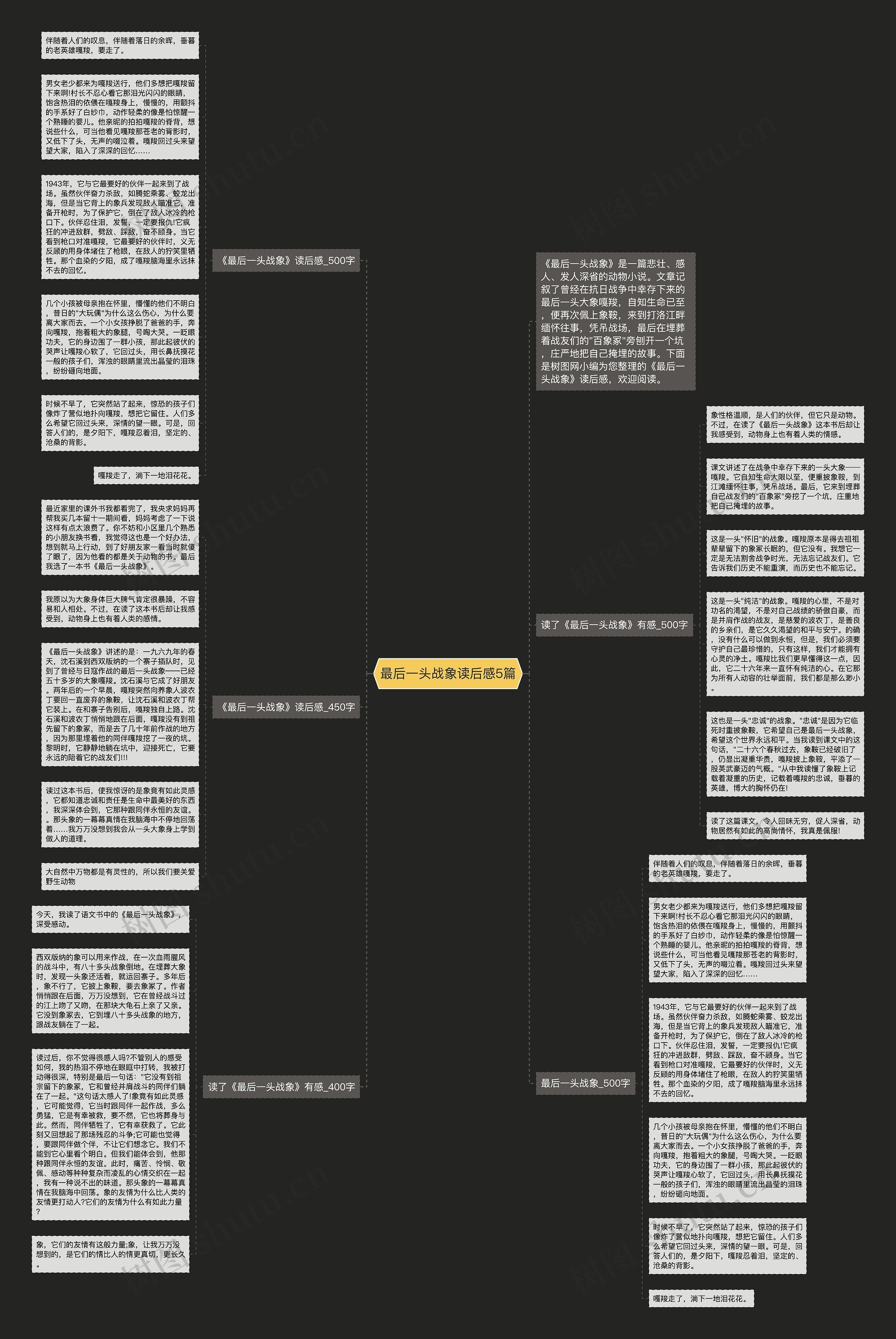 最后一头战象读后感5篇思维导图高清图 最后一头战象读后感5篇思维导图