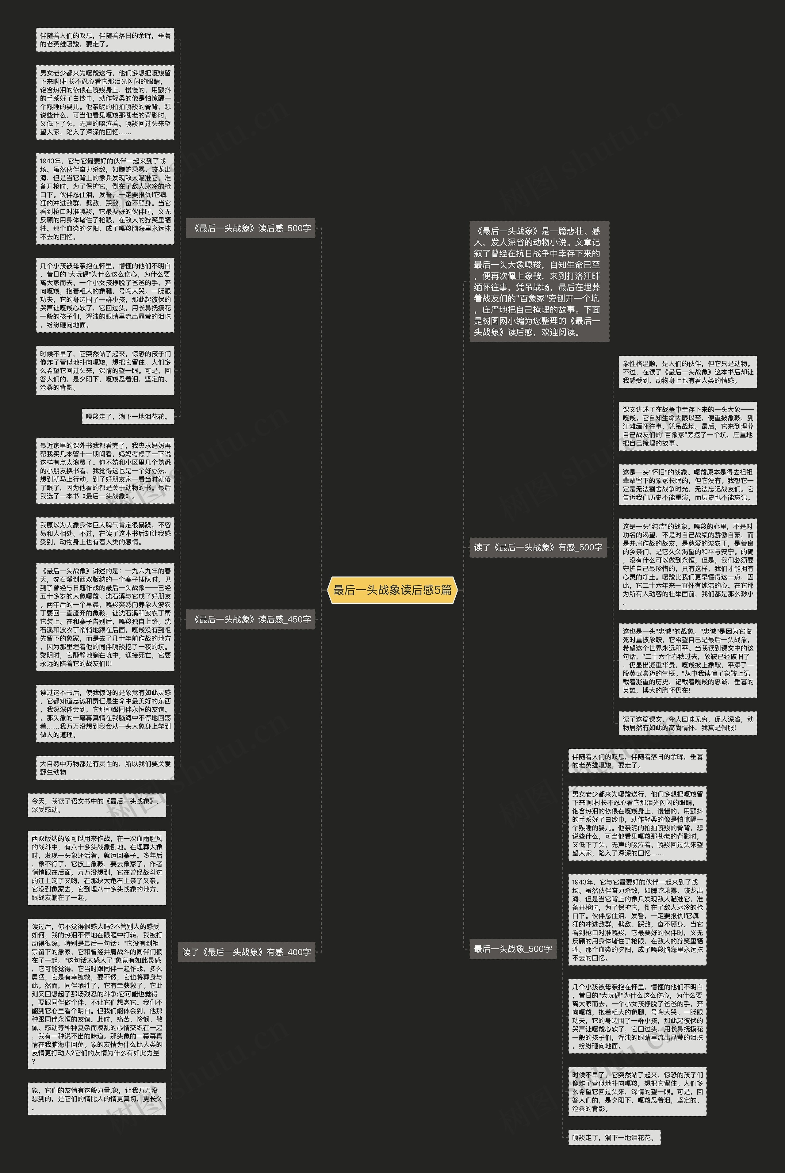 最后一头战象读后感5篇思维导图
