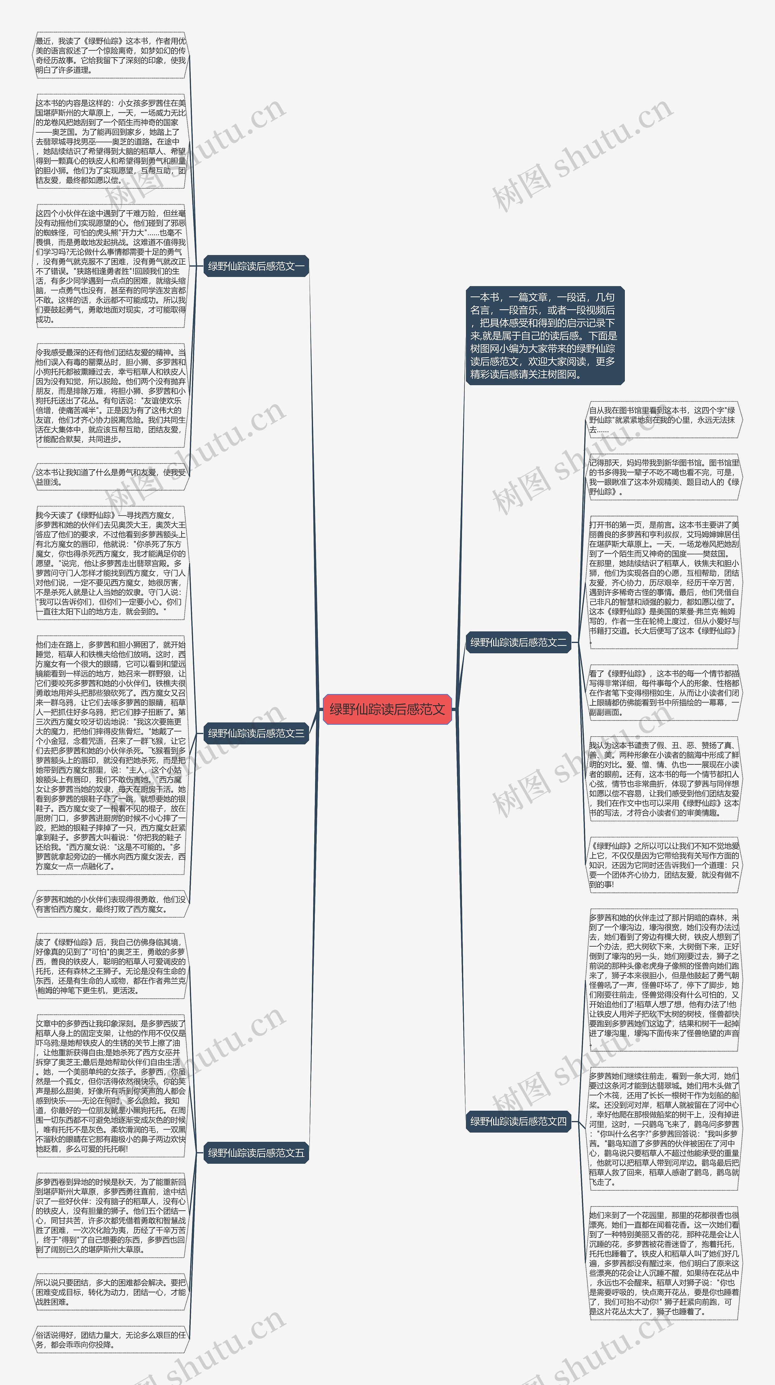 绿野仙踪读后感范文思维导图