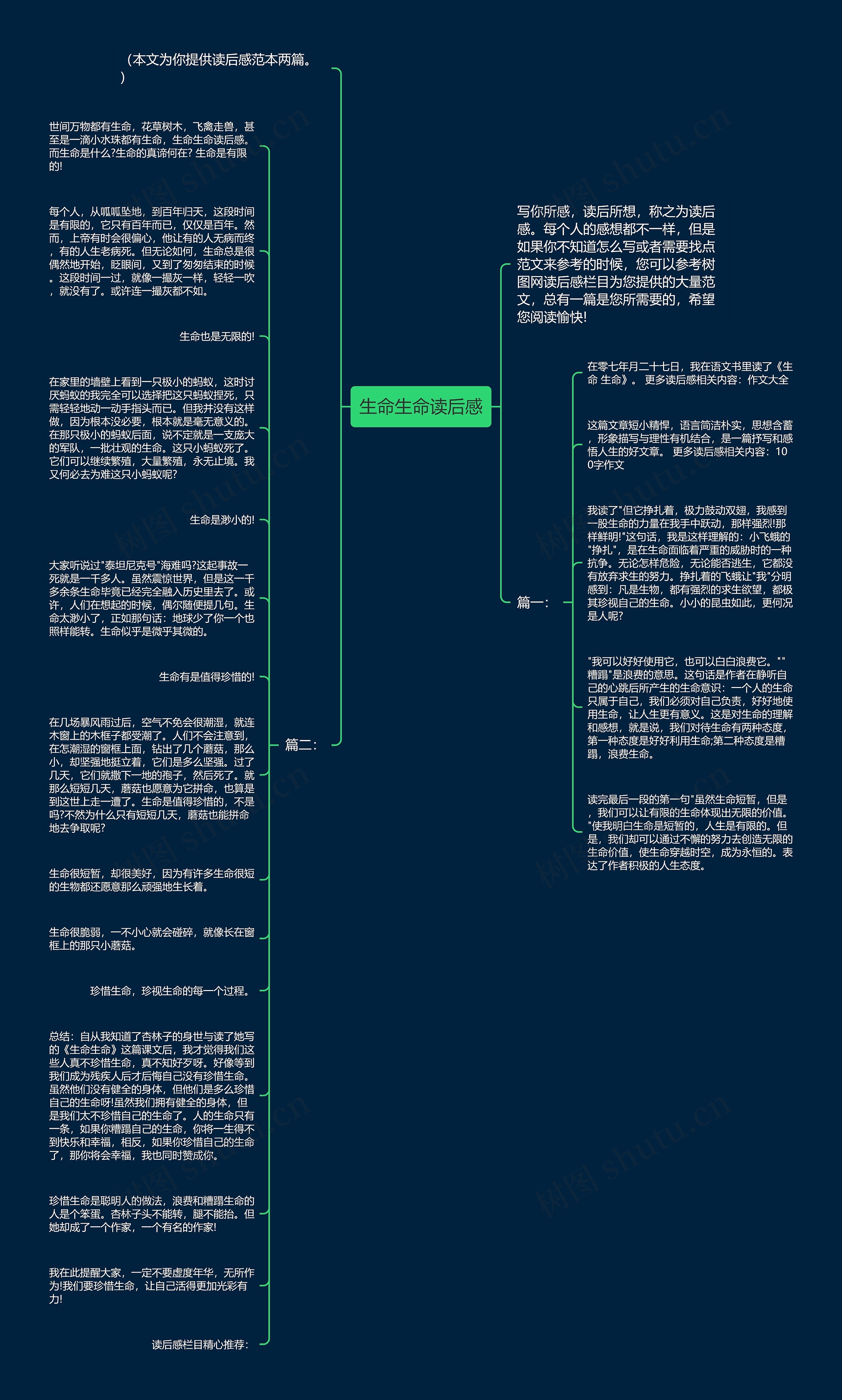 生命生命读后感思维导图