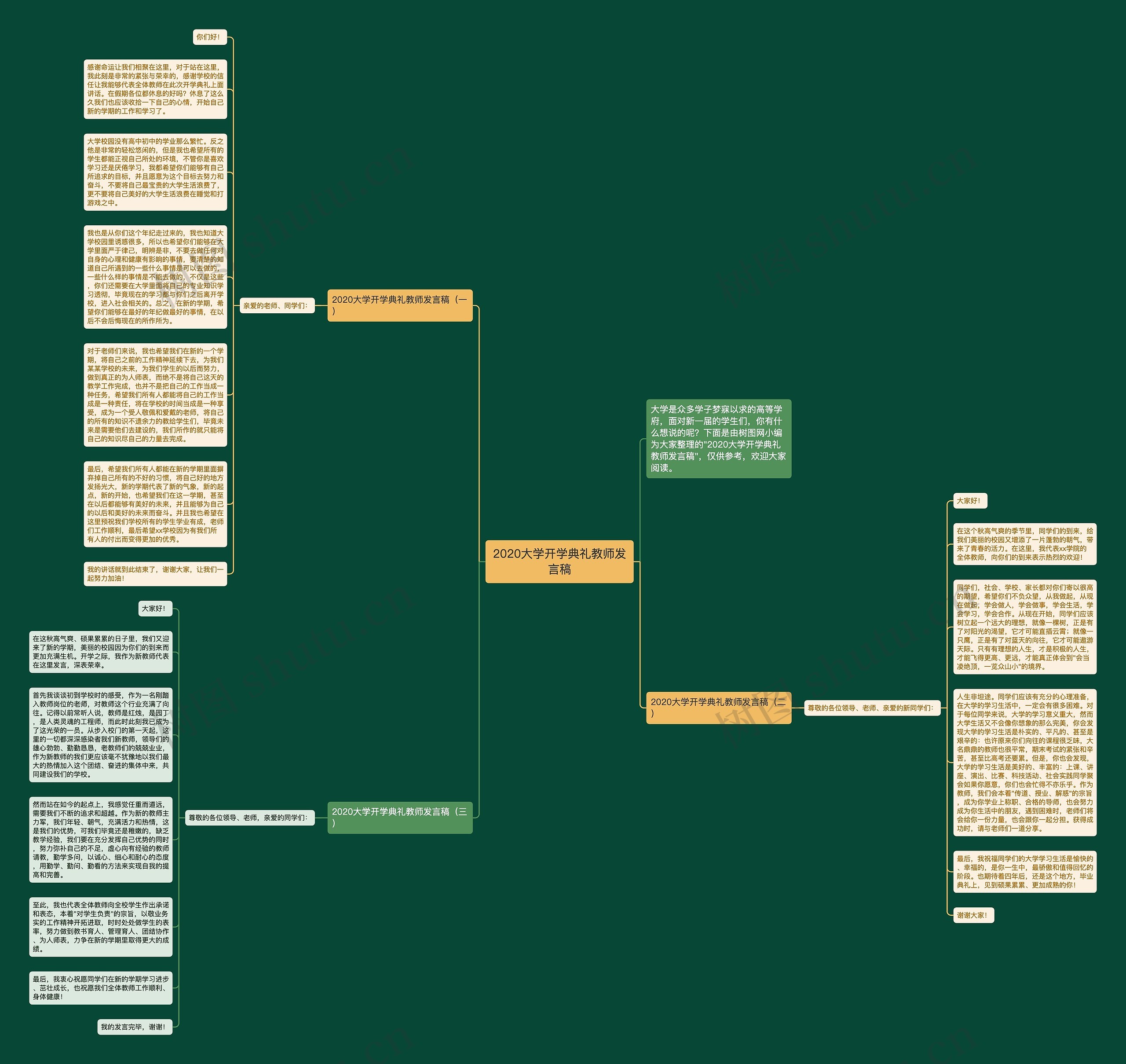 2020大学开学典礼教师发言稿思维导图