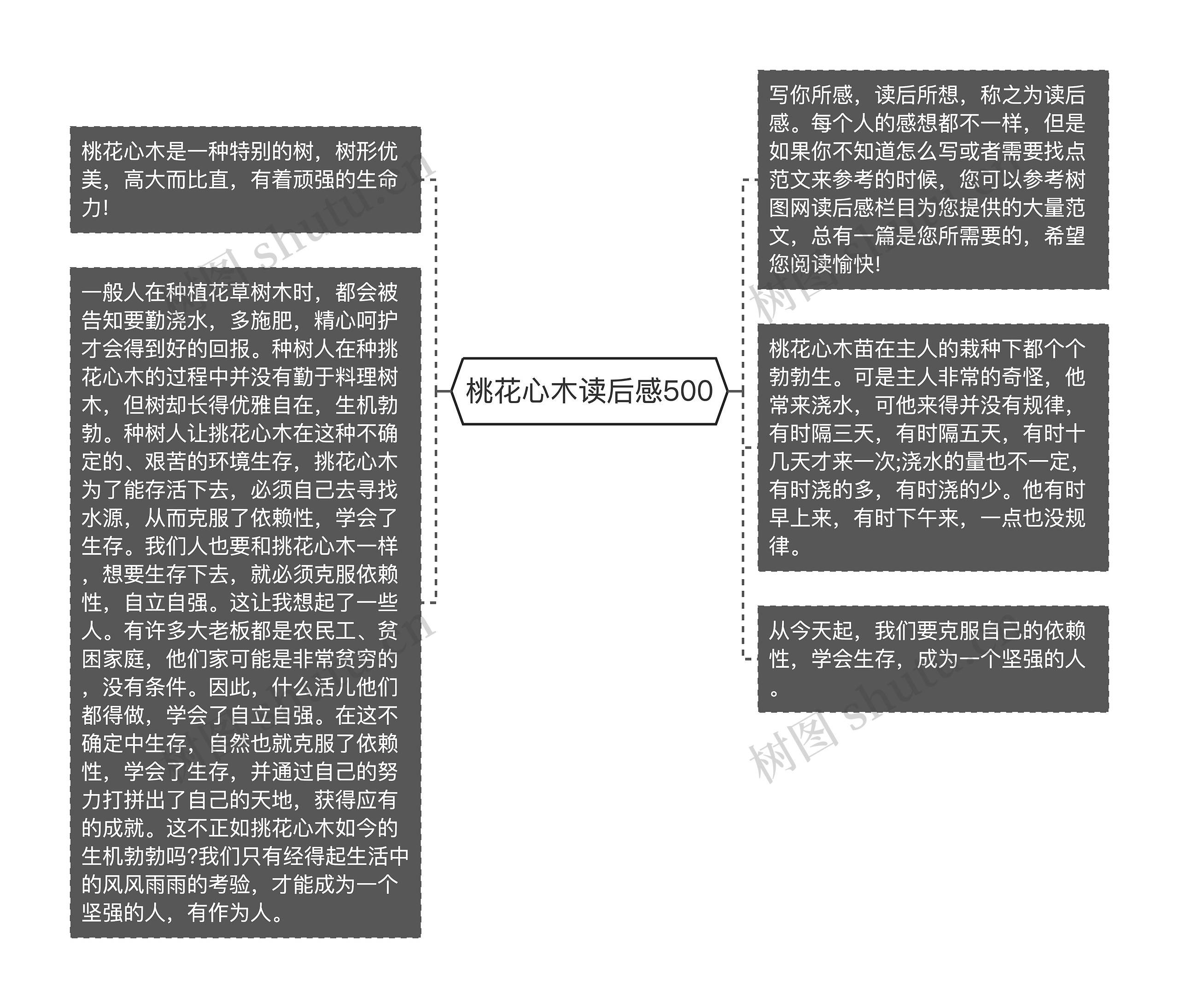 桃花心木读后感500思维导图