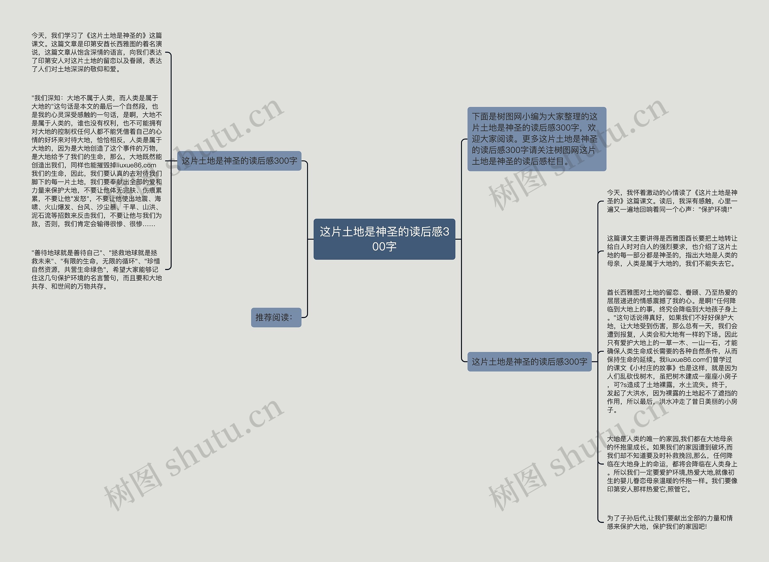 这片土地是神圣的读后感300字