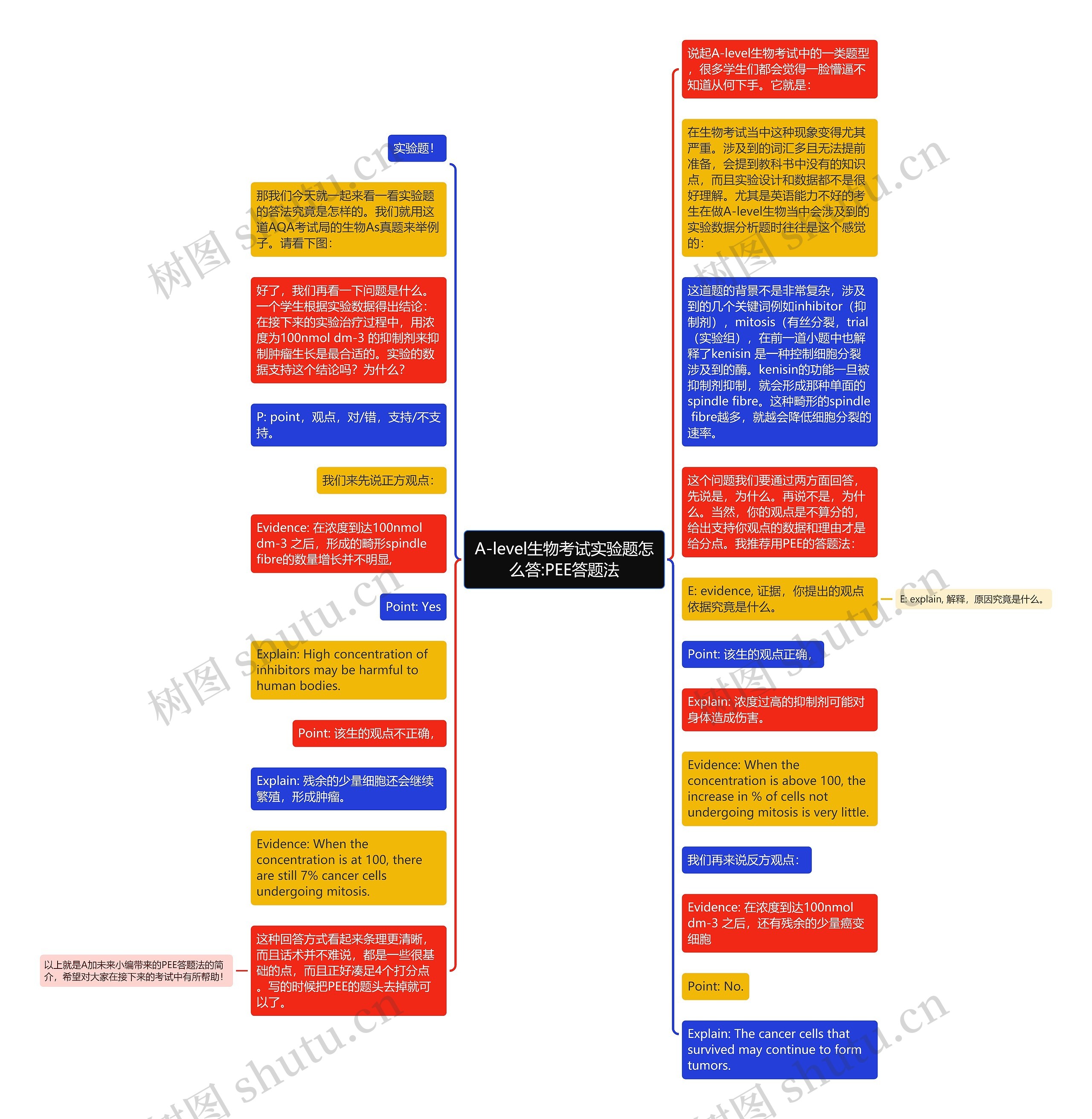 A-level生物考试实验题怎么答:PEE答题法思维导图