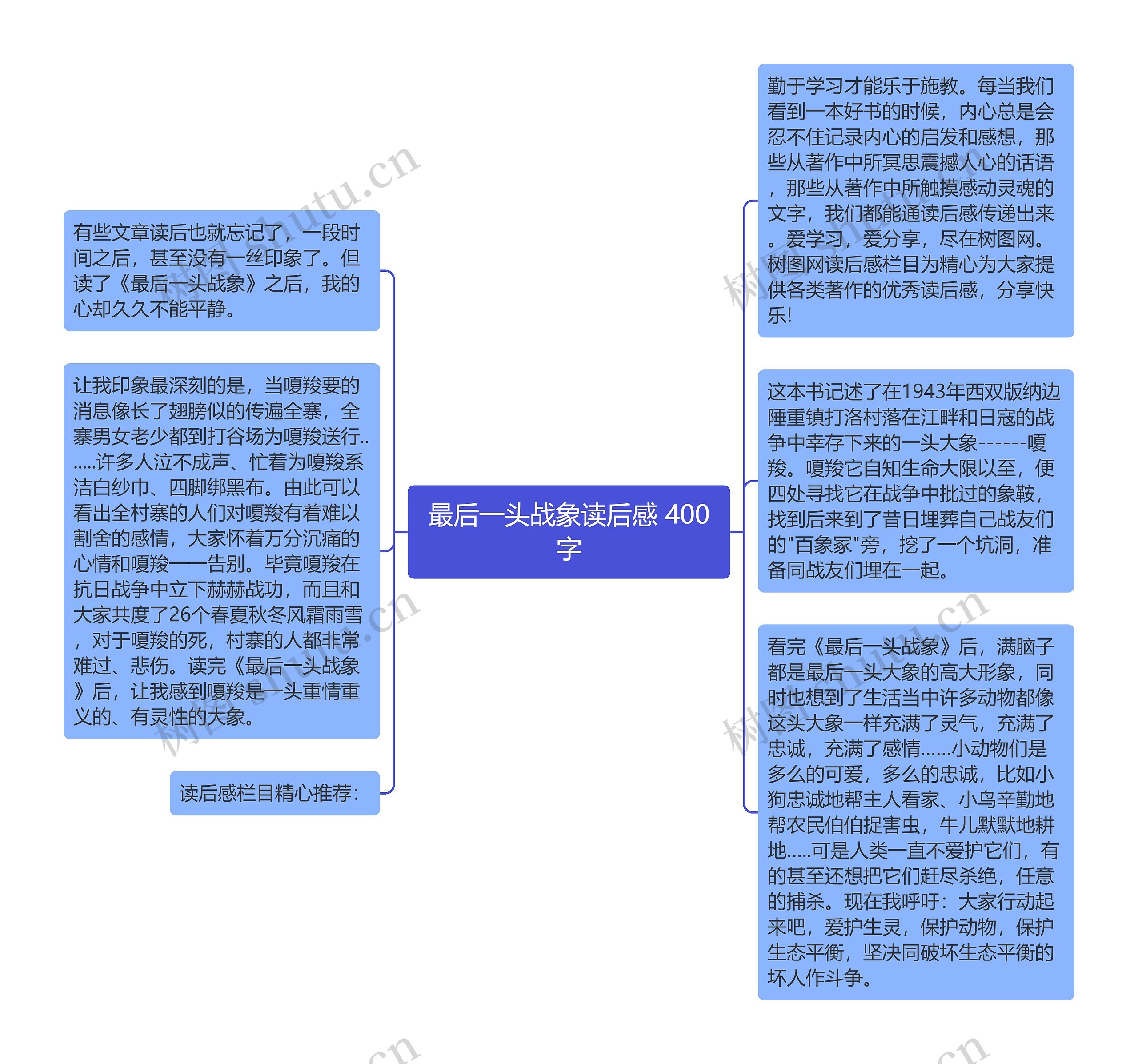 最后一头战象读后感 400字思维导图