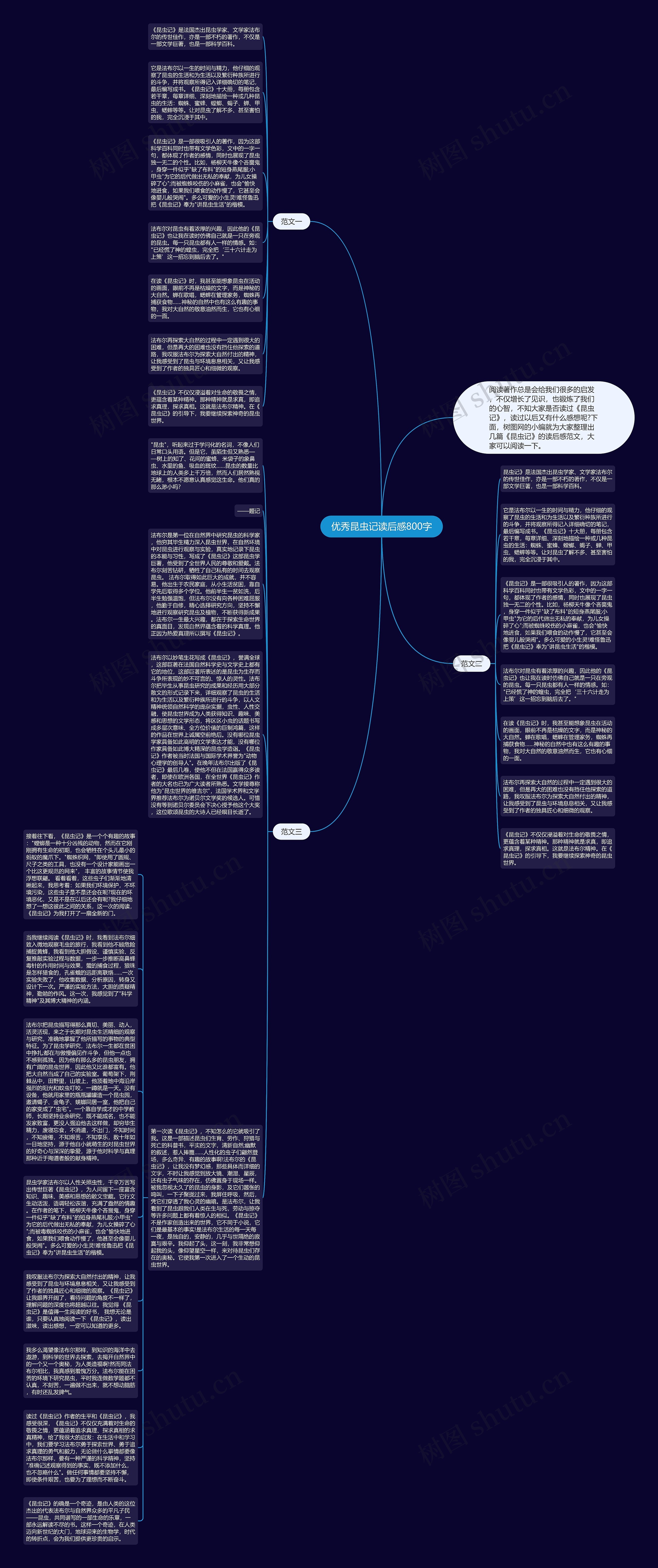 优秀昆虫记读后感800字思维导图