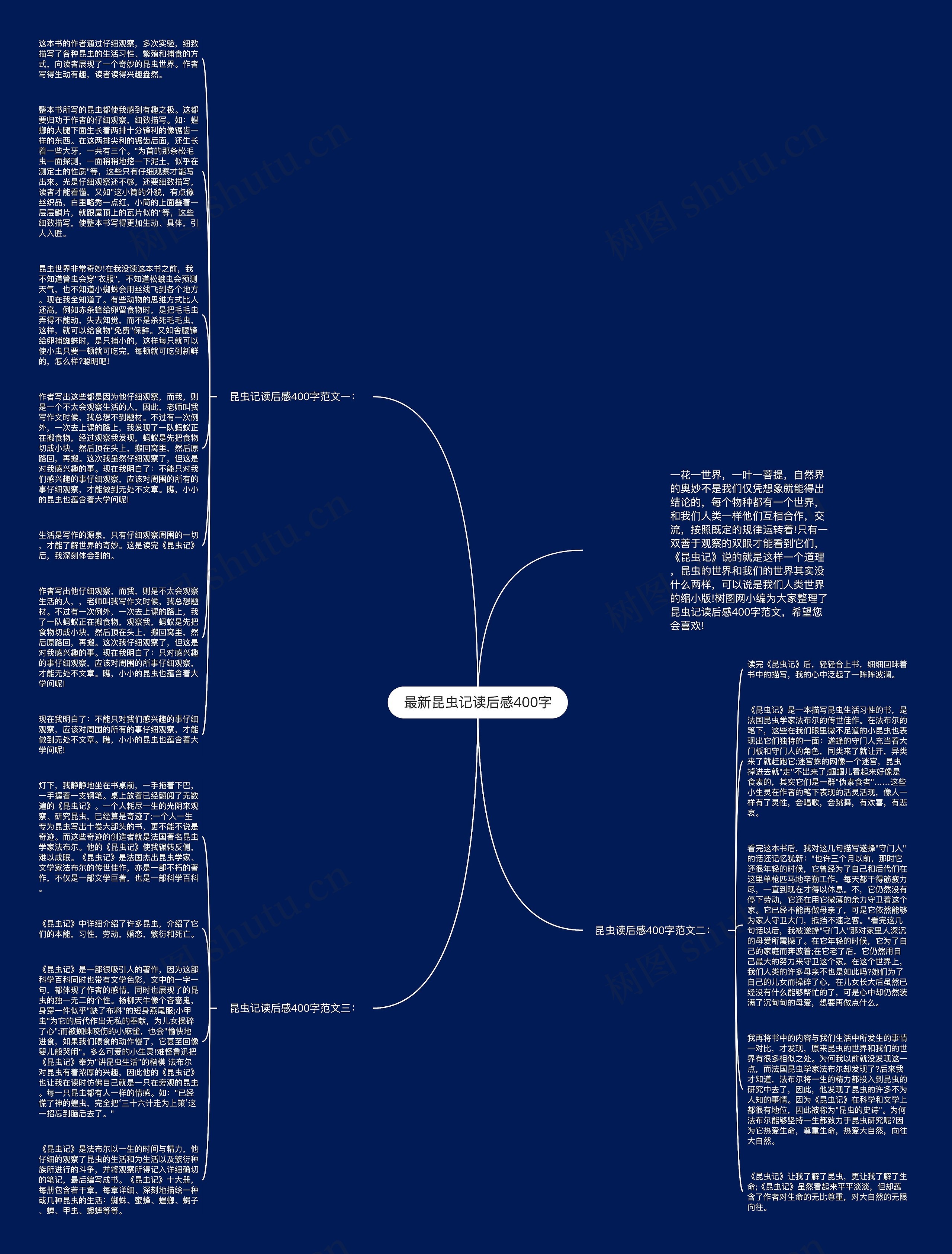 最新昆虫记读后感400字思维导图