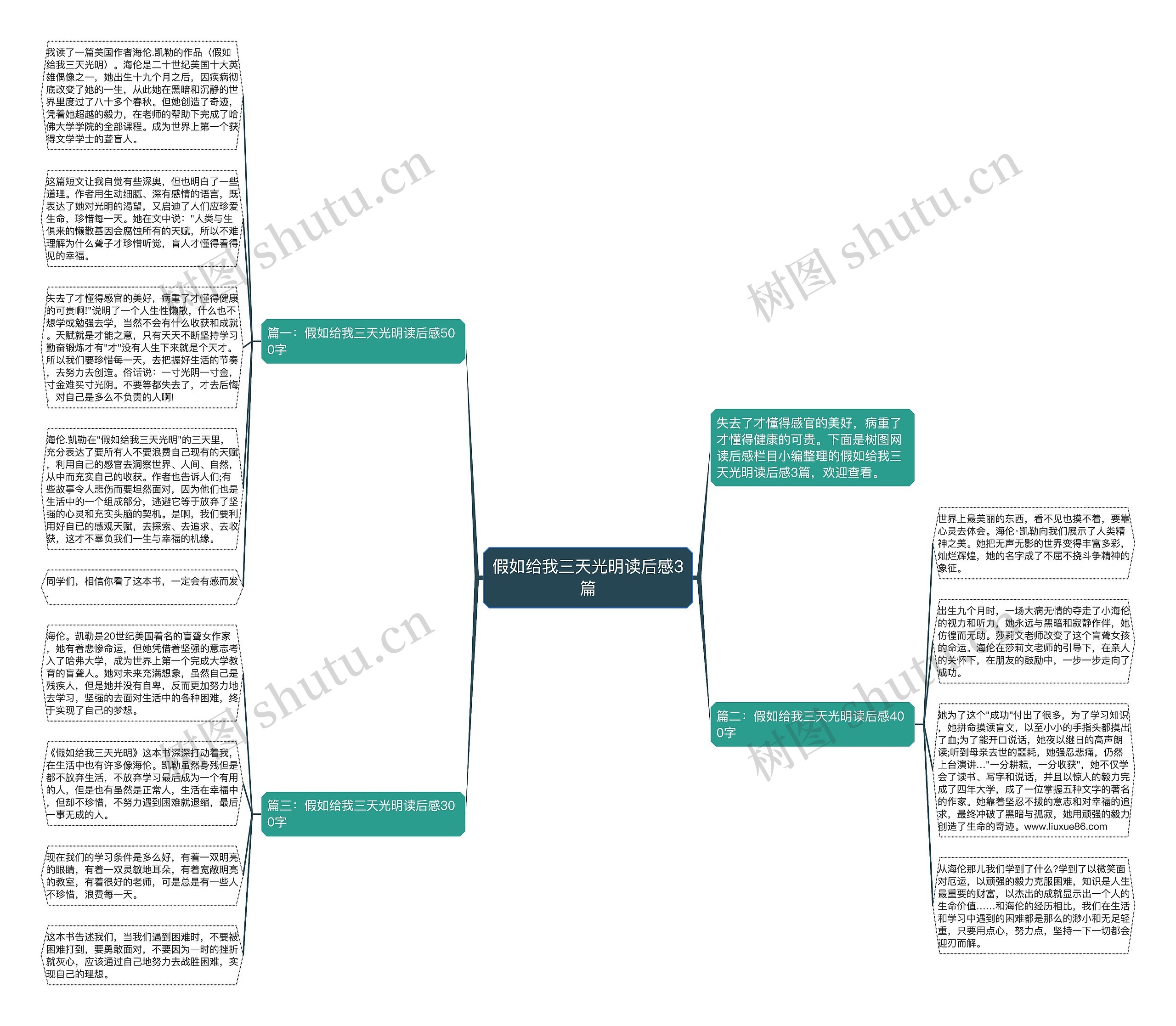 假如给我三天光明读后感3篇思维导图