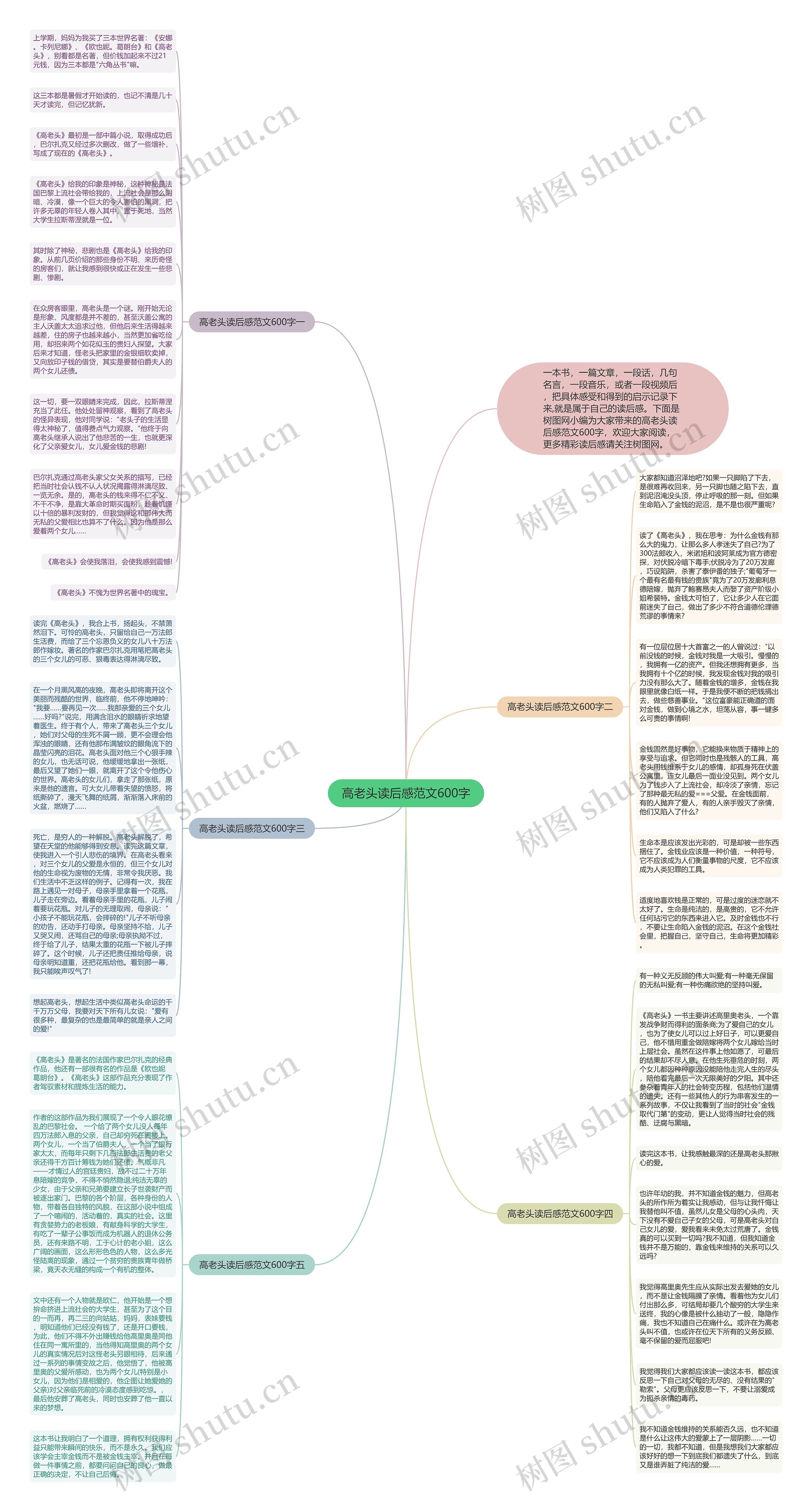高老头读后感范文600字思维导图