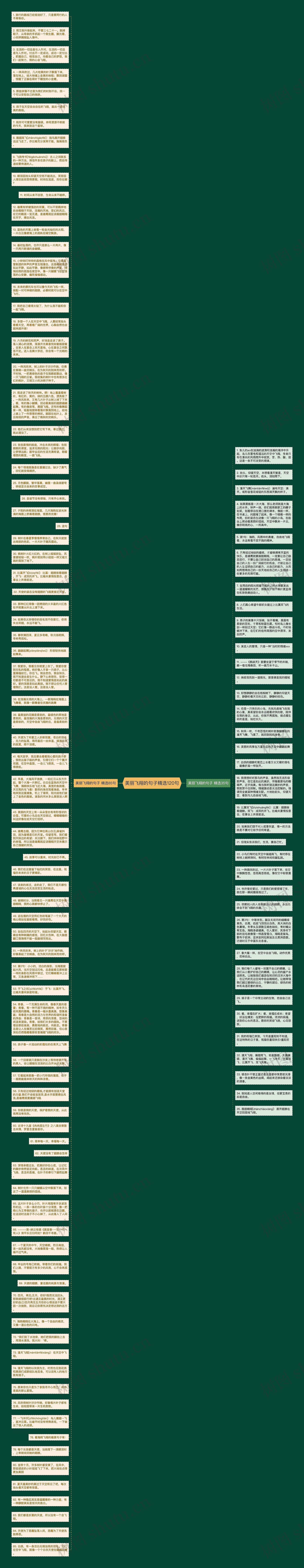 美丽飞翔的句子精选120句思维导图