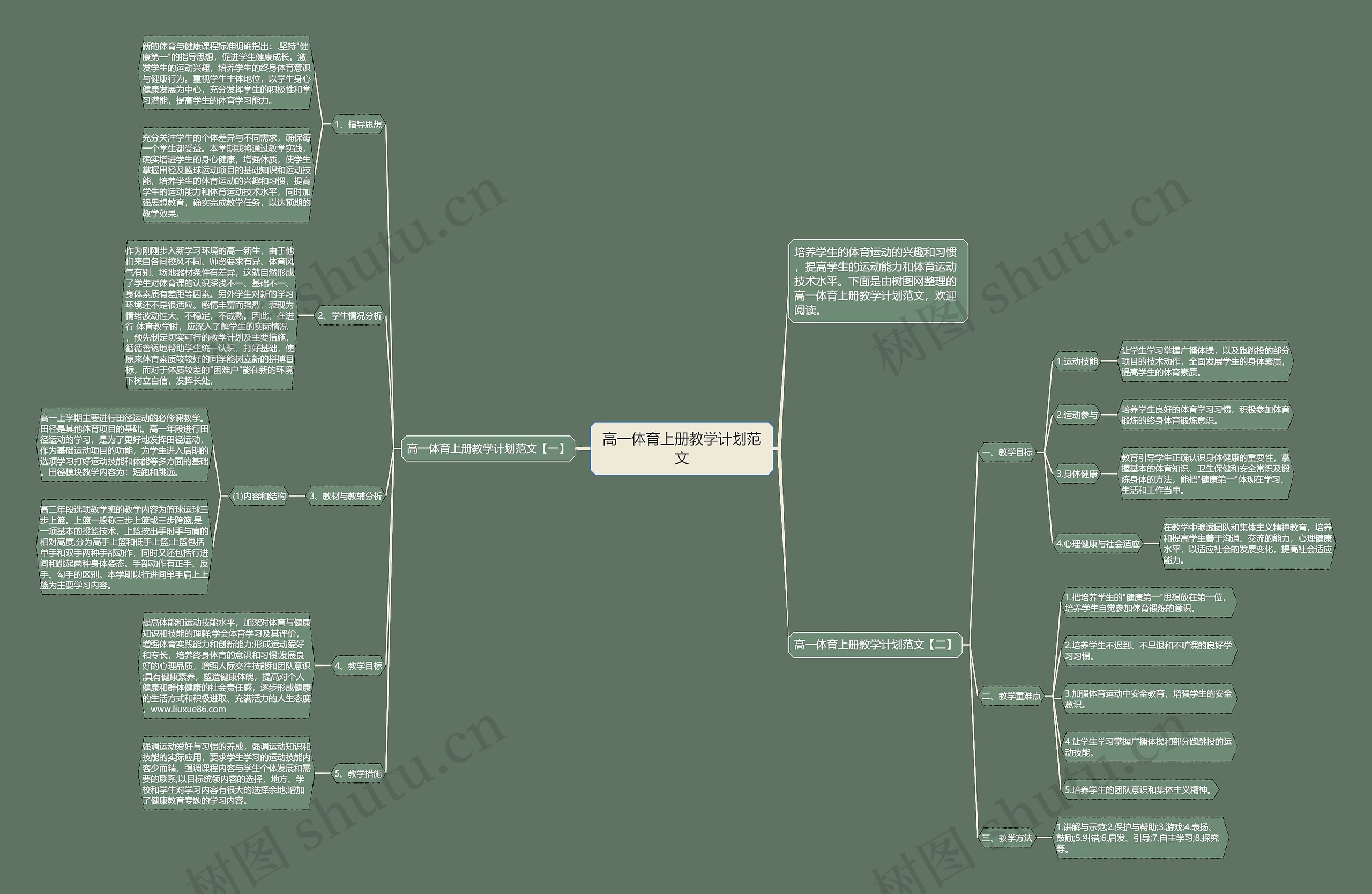 高一体育上册教学计划范文思维导图