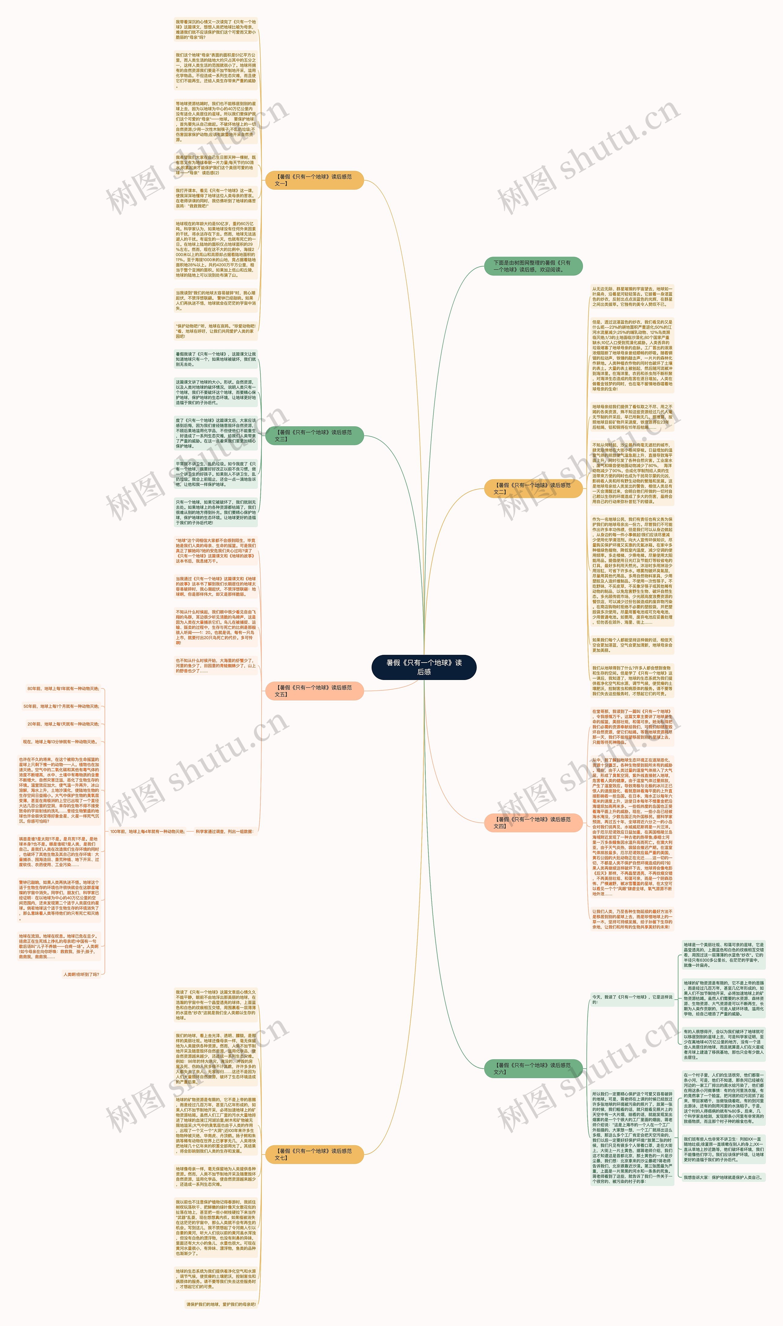 暑假《只有一个地球》读后感思维导图