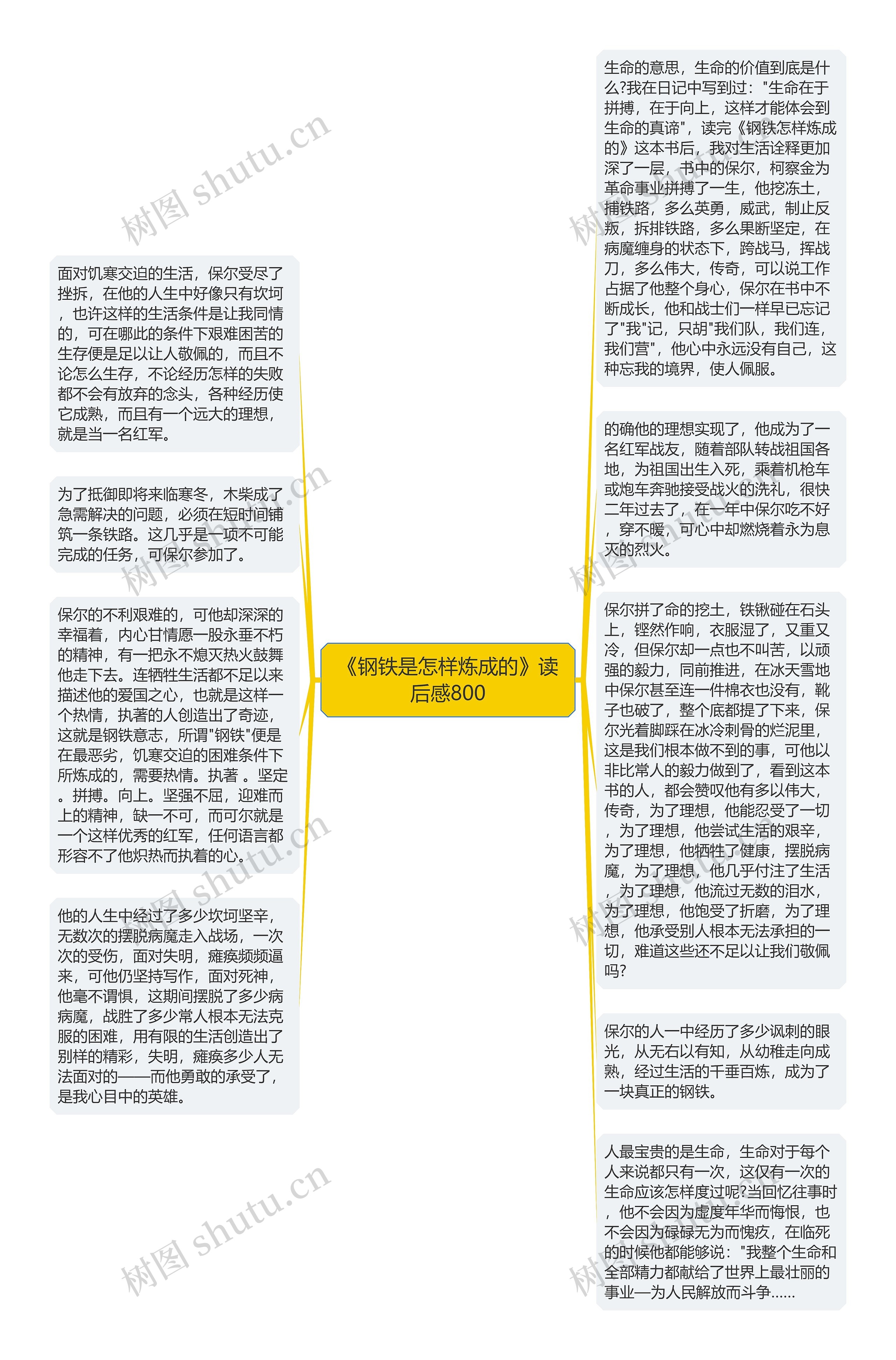 《钢铁是怎样炼成的》读后感800