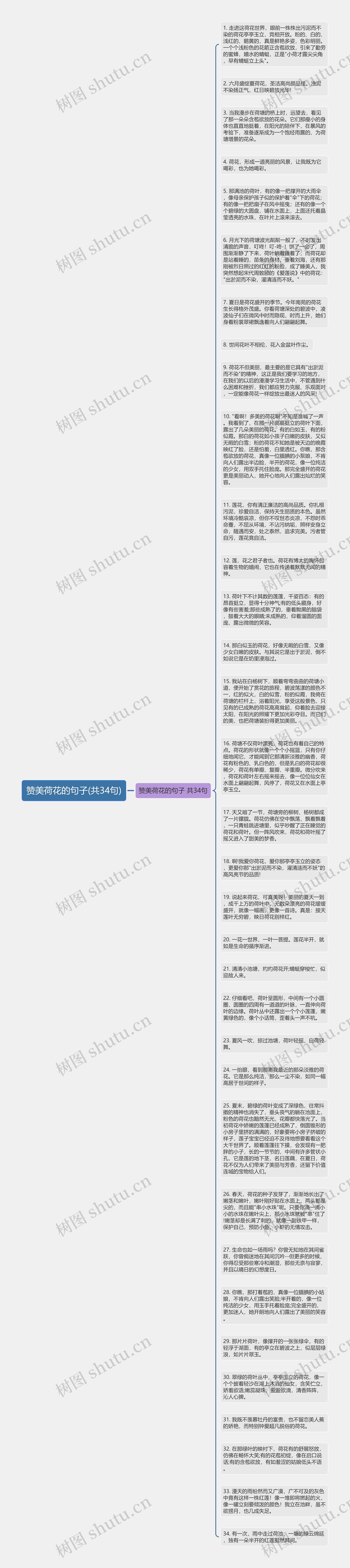 赞美荷花的句子(共34句)思维导图