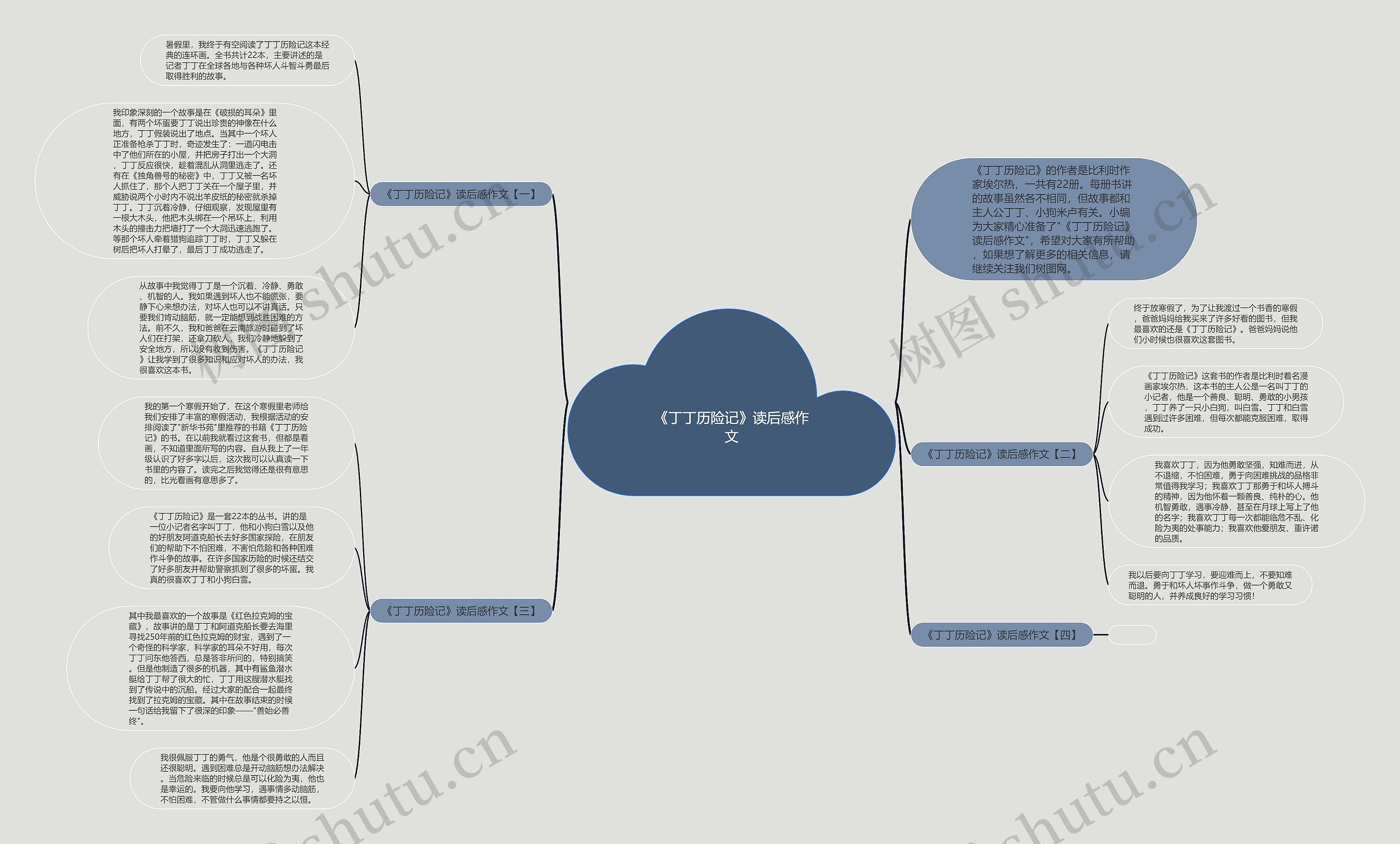 《丁丁历险记》读后感作文思维导图