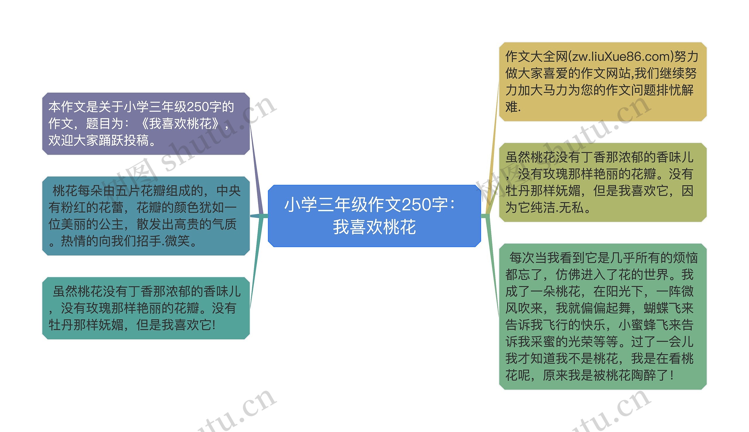 小学三年级作文250字：我喜欢桃花