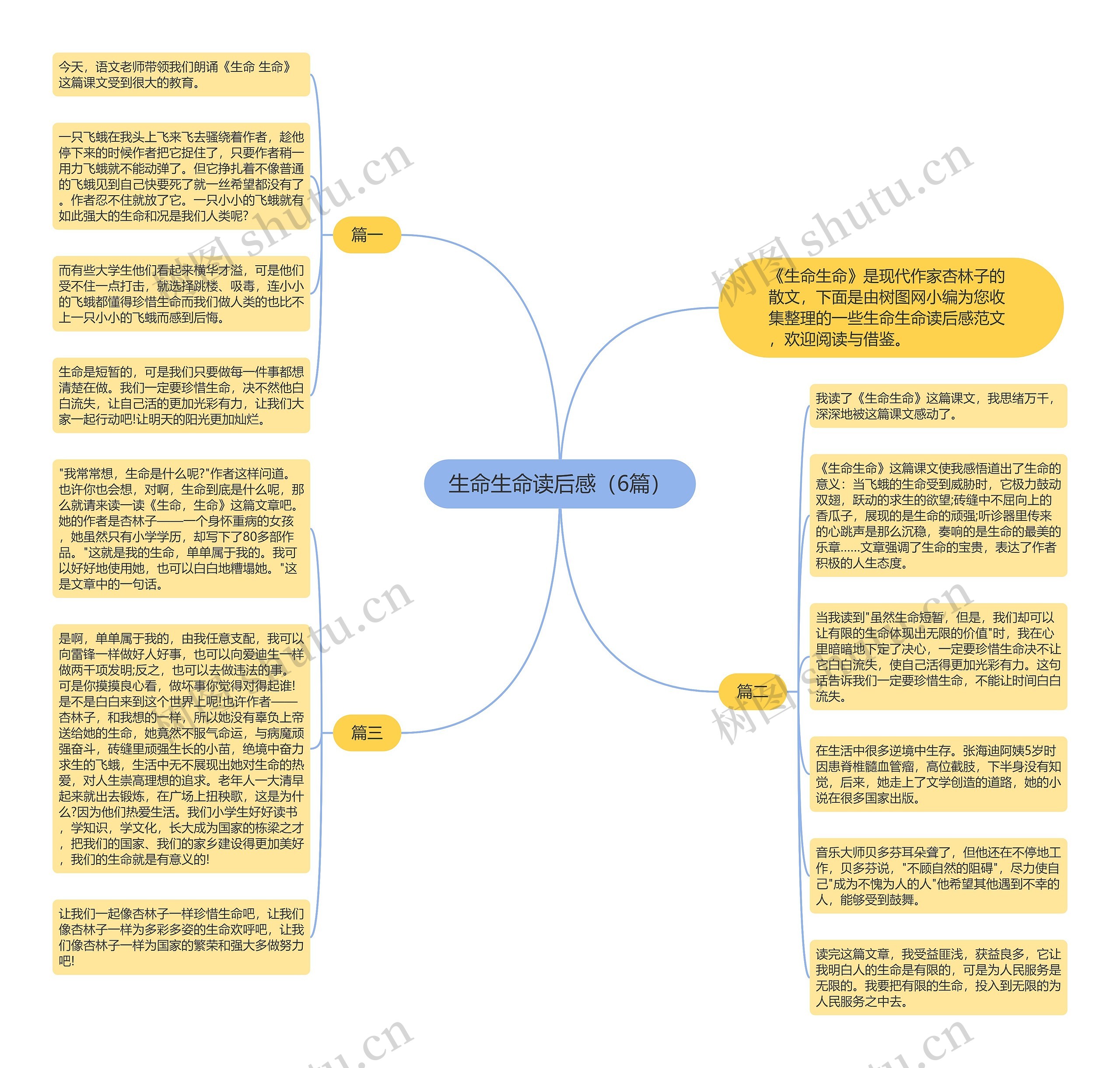 生命生命读后感（6篇）思维导图