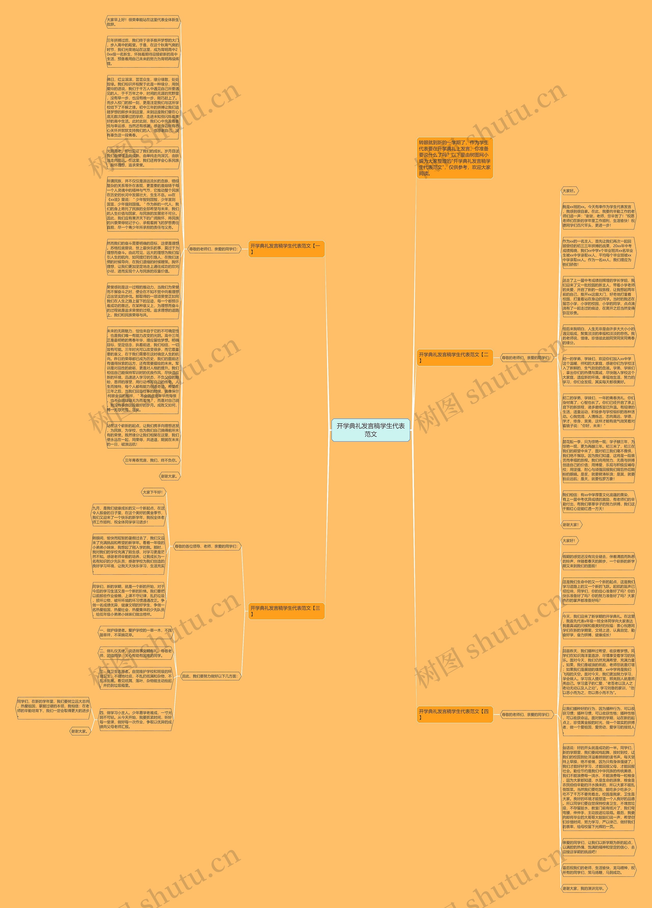 开学典礼发言稿学生代表范文思维导图