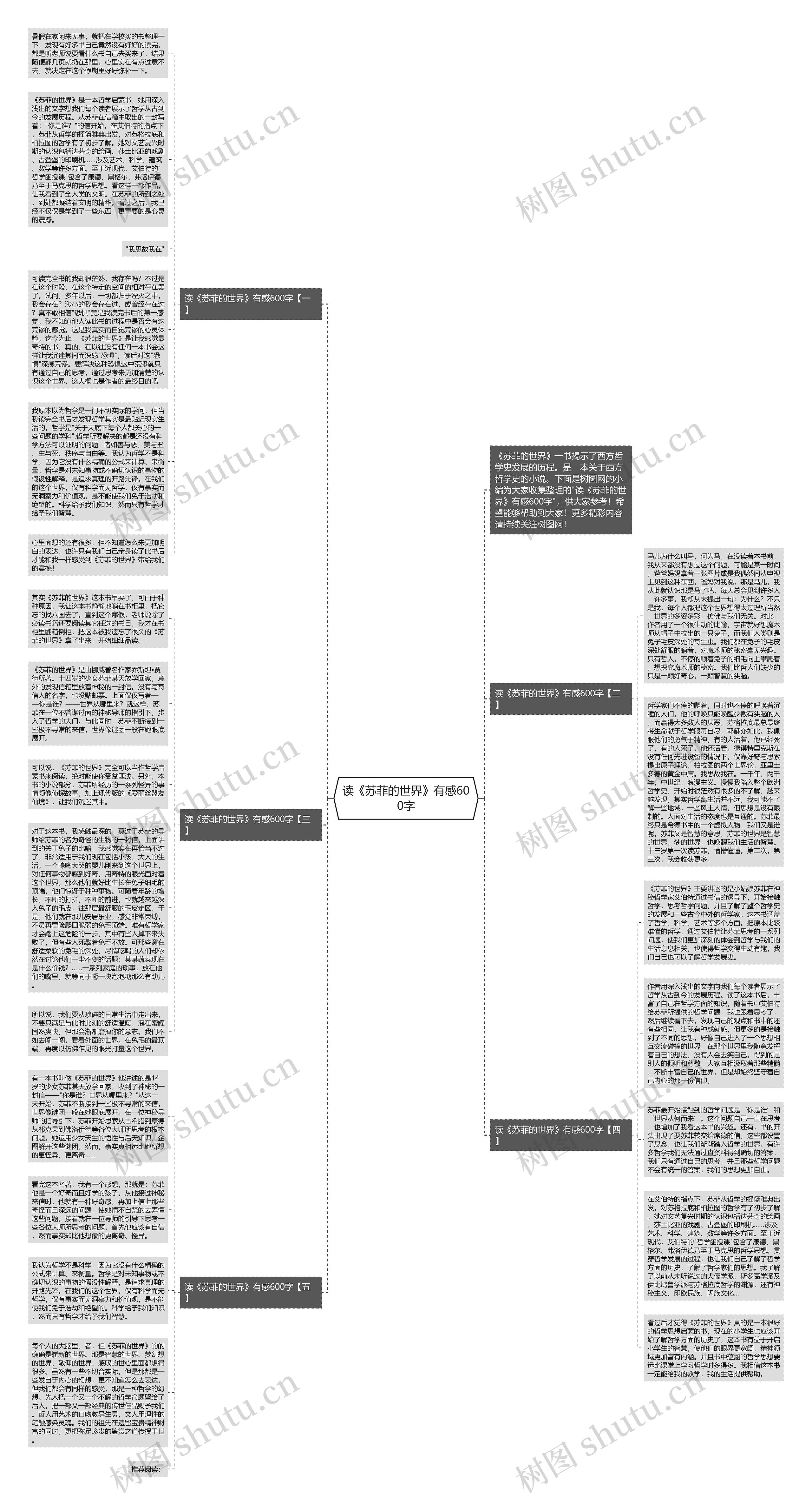 读《苏菲的世界》有感600字思维导图