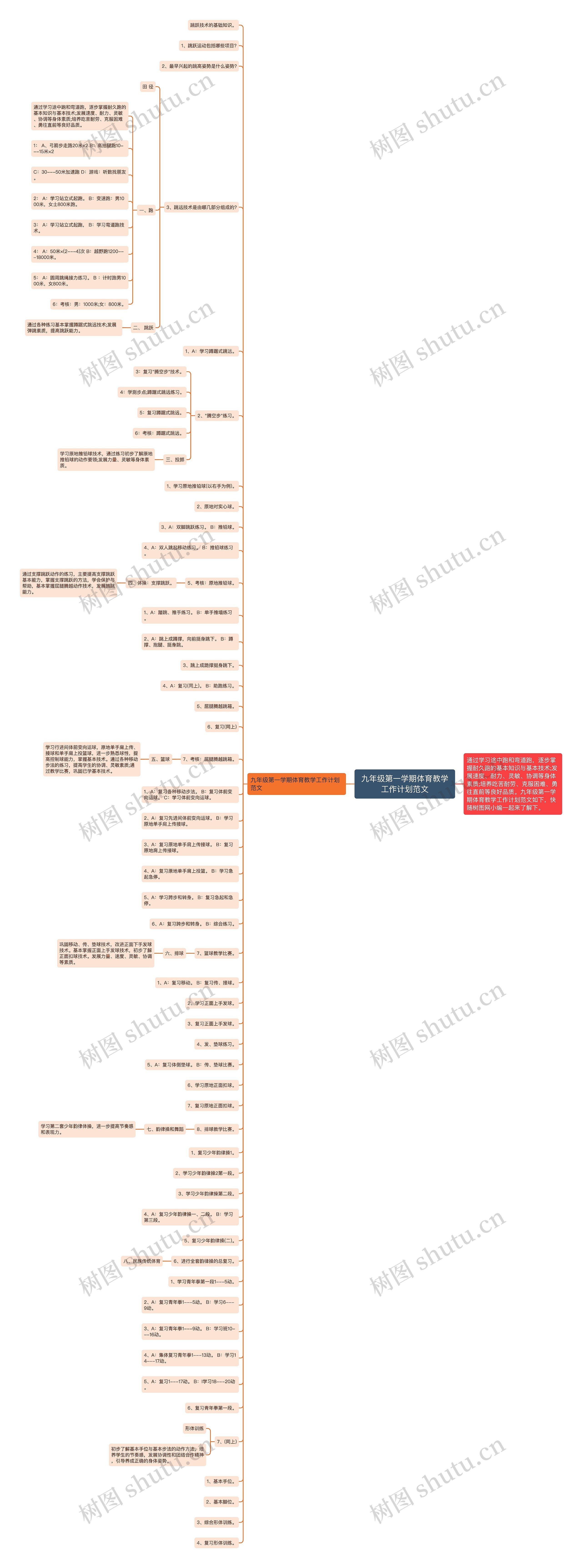 九年级第一学期体育教学工作计划范文思维导图