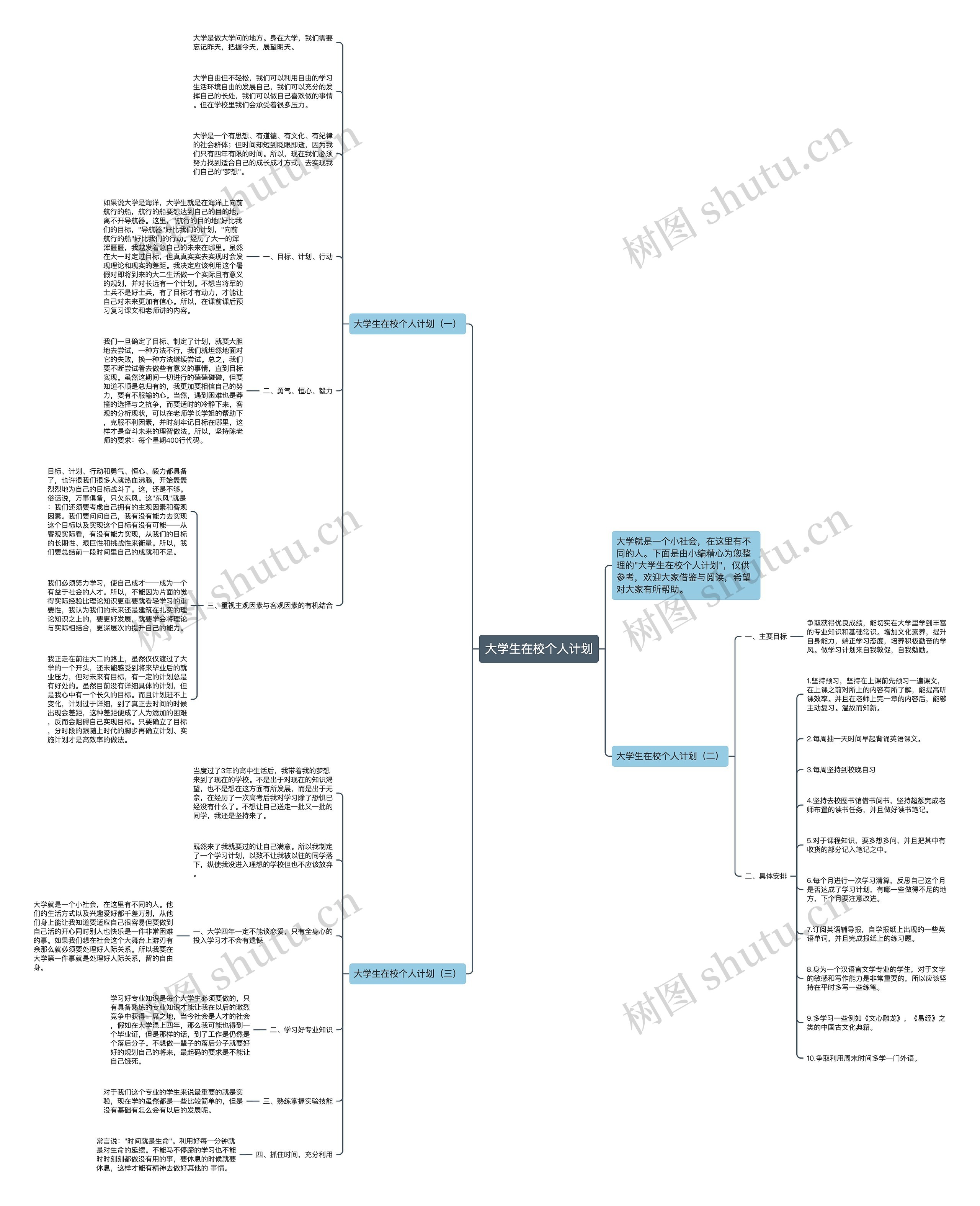 大学生在校个人计划思维导图