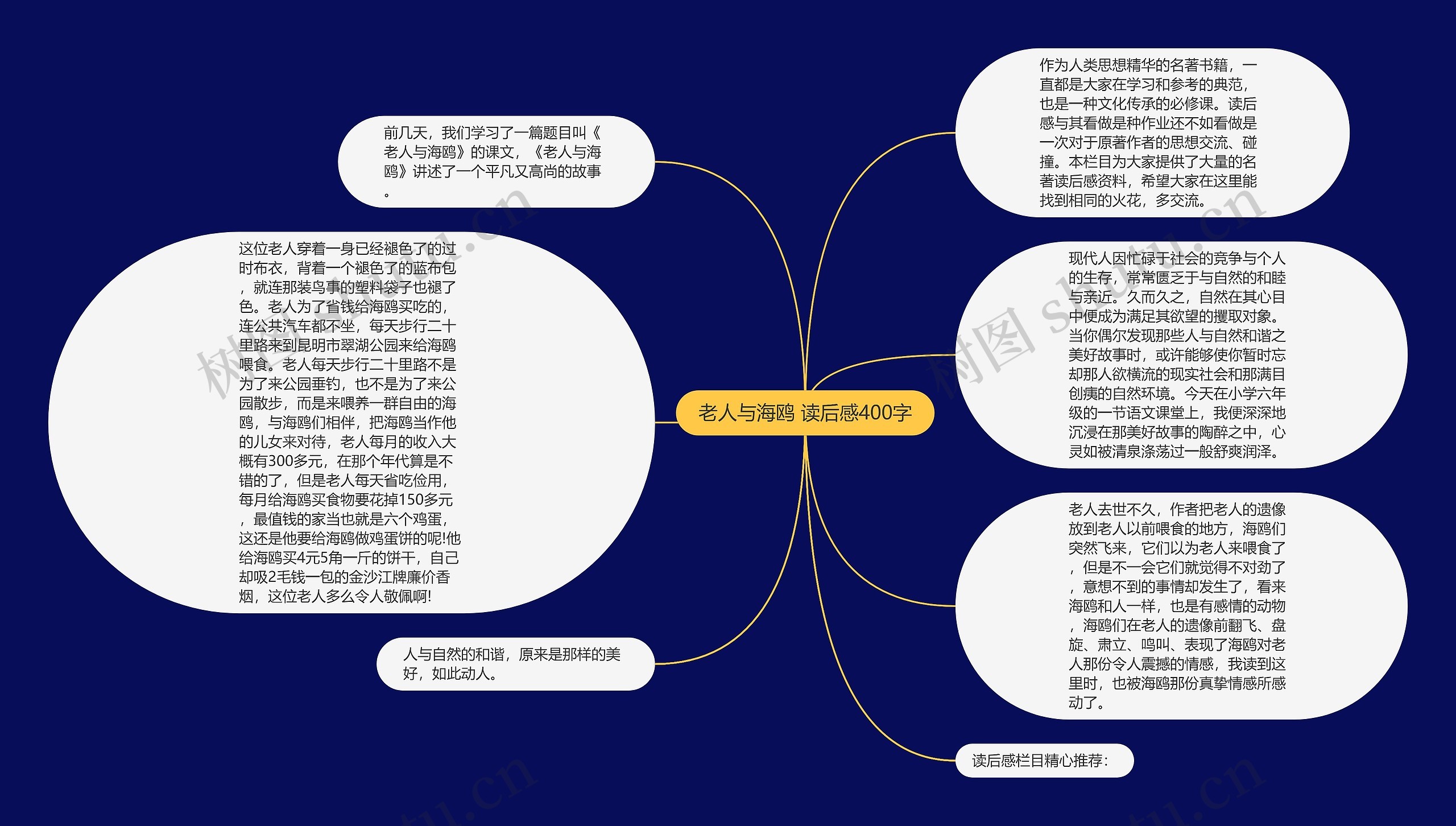 老人与海鸥 读后感400字