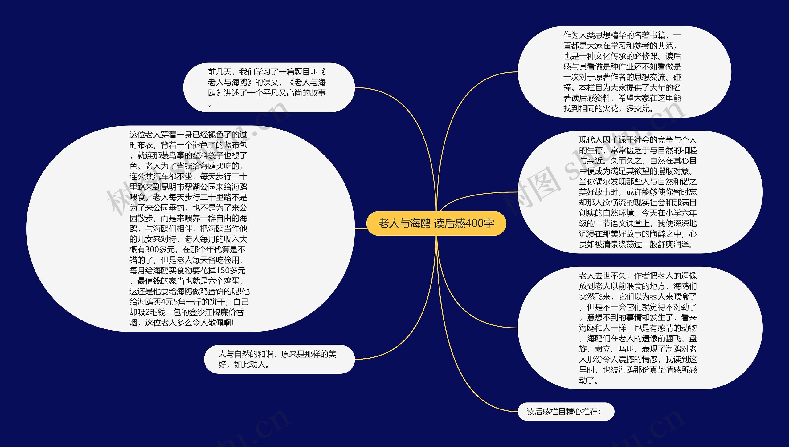 老人与海鸥 读后感400字思维导图