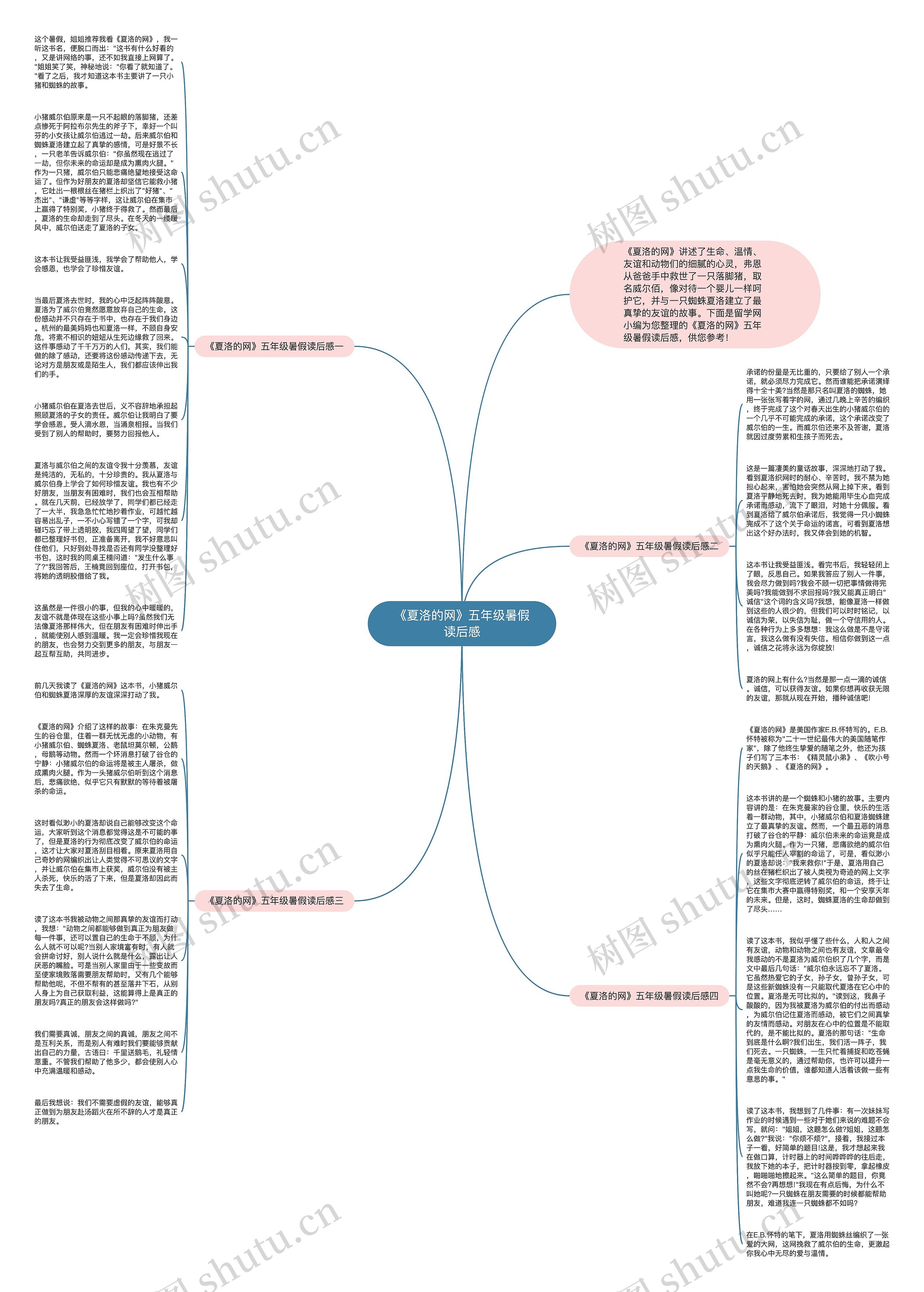 《夏洛的网》五年级暑假读后感思维导图