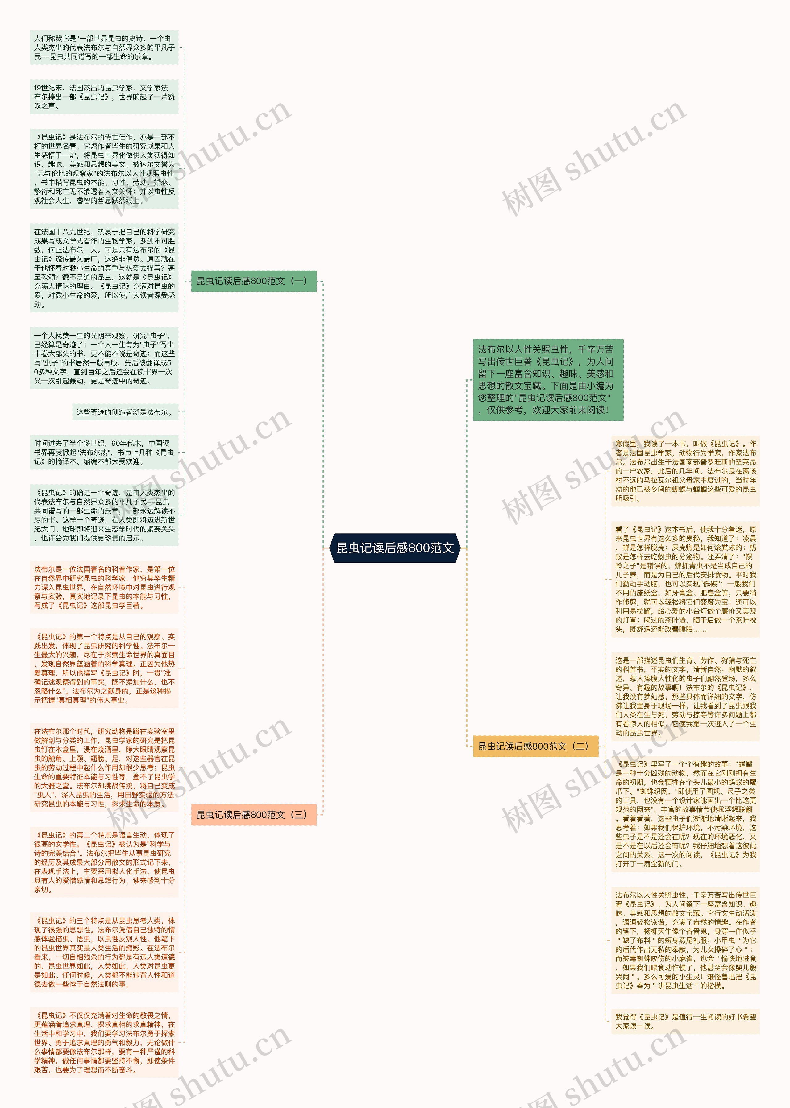 昆虫记读后感800范文思维导图
