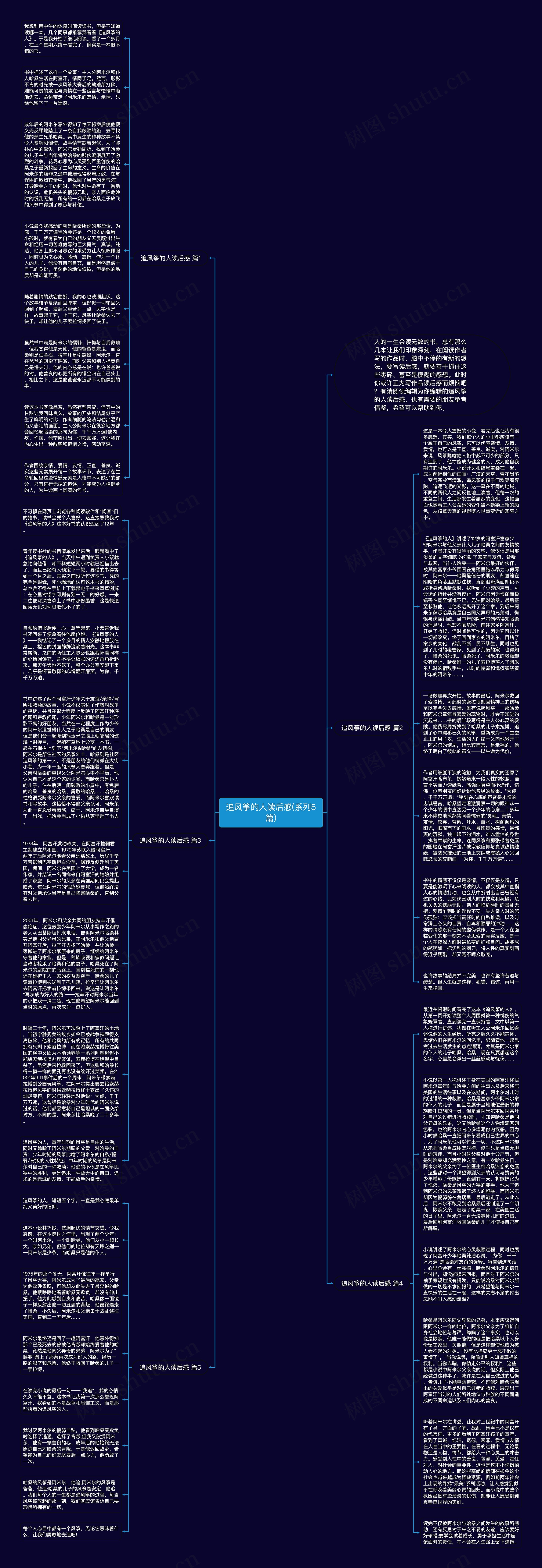 追风筝的人读后感(系列5篇)思维导图