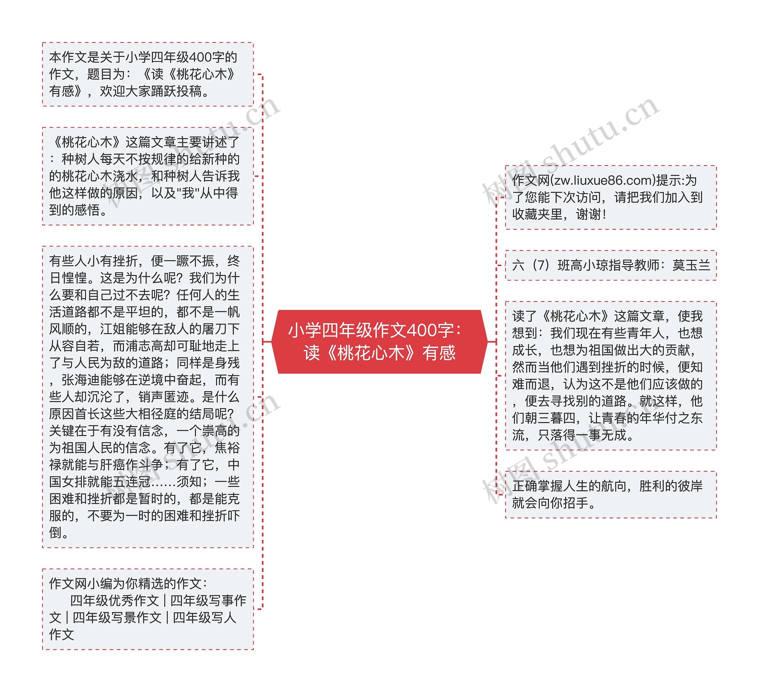 小学四年级作文400字：读《桃花心木》有感